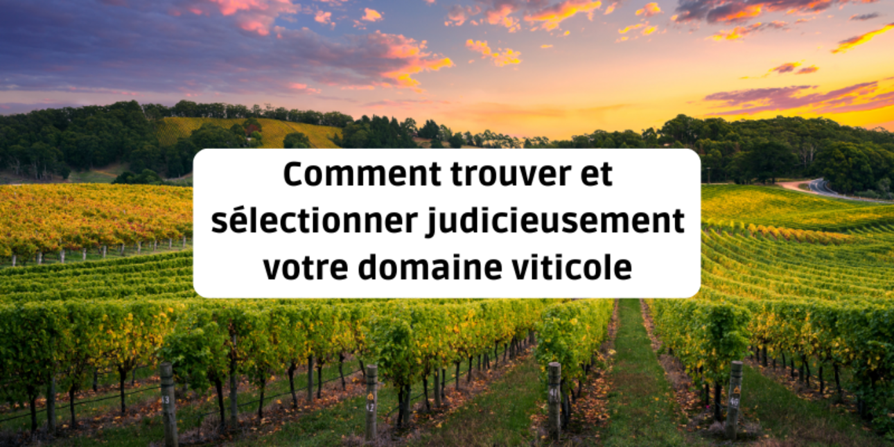 Comment trouver et sélectionner judicieusement votre domaine viticole