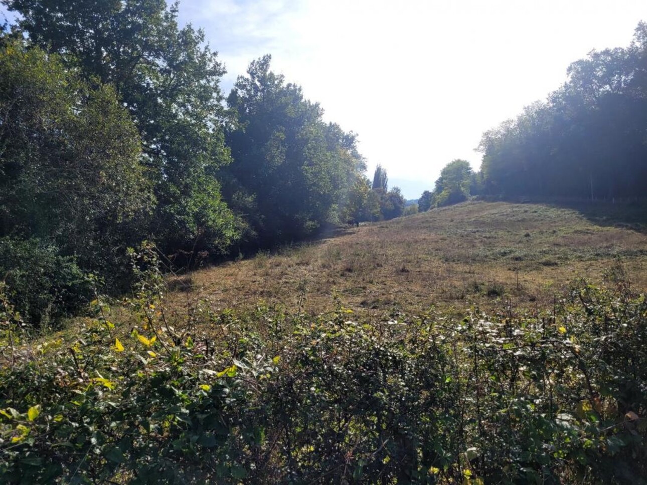 Photos 12 - Équestre - Terrain de loisir