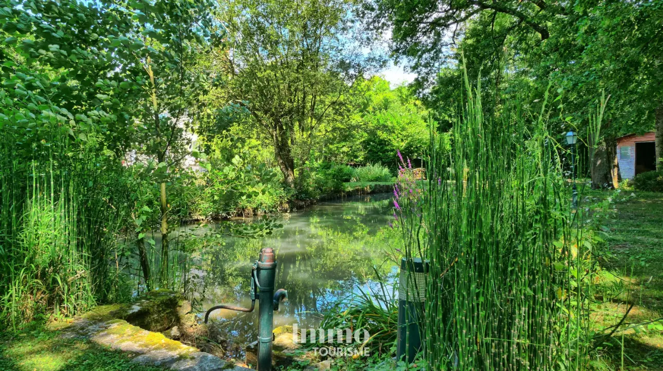 Photos 12 - Équestre - Propriété avec gîte et chambres d’hôtes aux portes du Zoo de Beauval