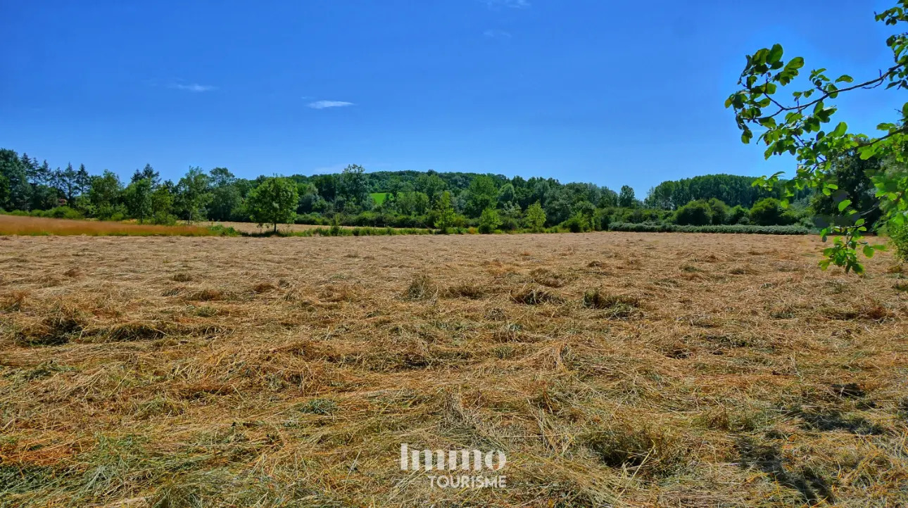 Photos 13 - Équestre - Propriété avec gîte et chambres d’hôtes aux portes du Zoo de Beauval