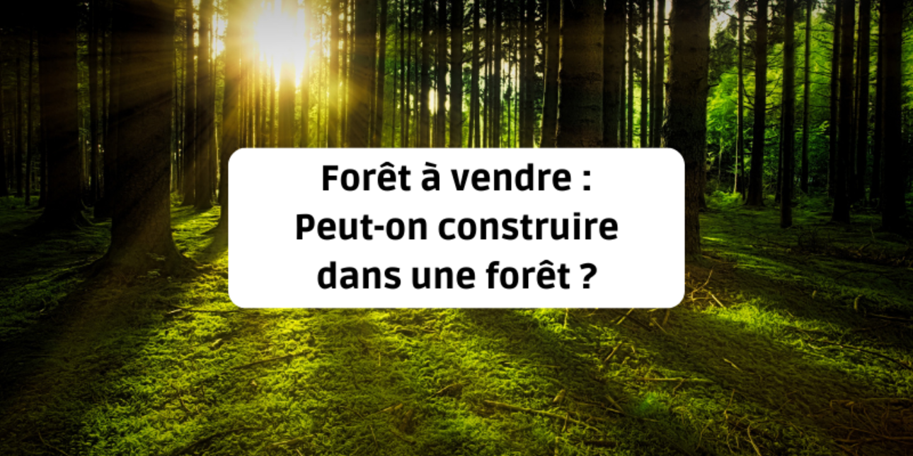 Forêt à vendre : Peut-on construire dans une forêt ?