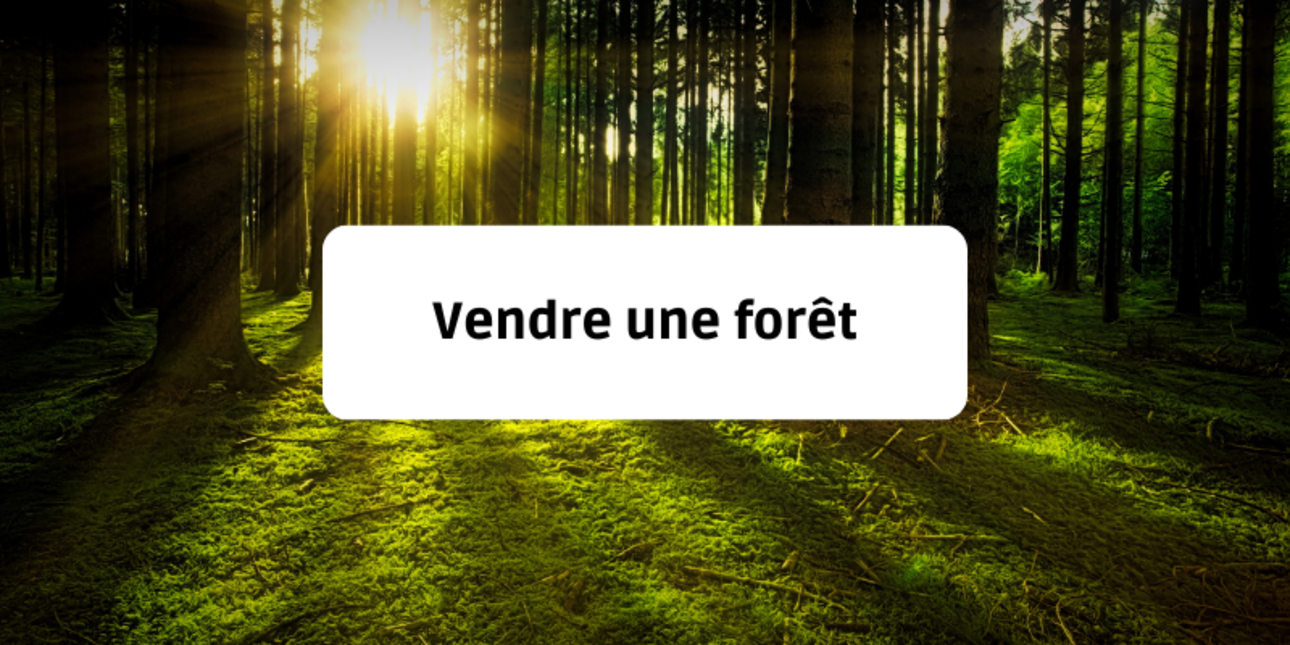 Vendre une forêt