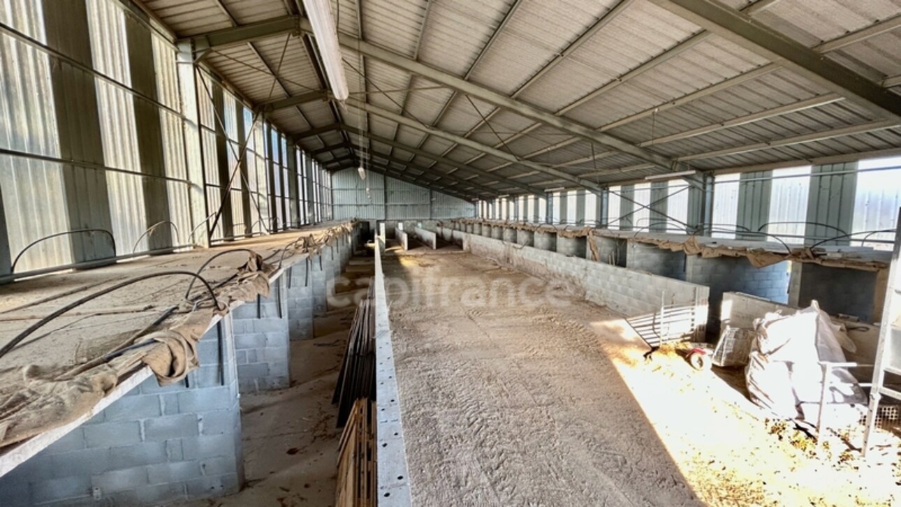 Photos 4 - Agricole - Dpt Saône et Loire (71), à vendre VILLENEUVE EN MONTAGNE propriete P8