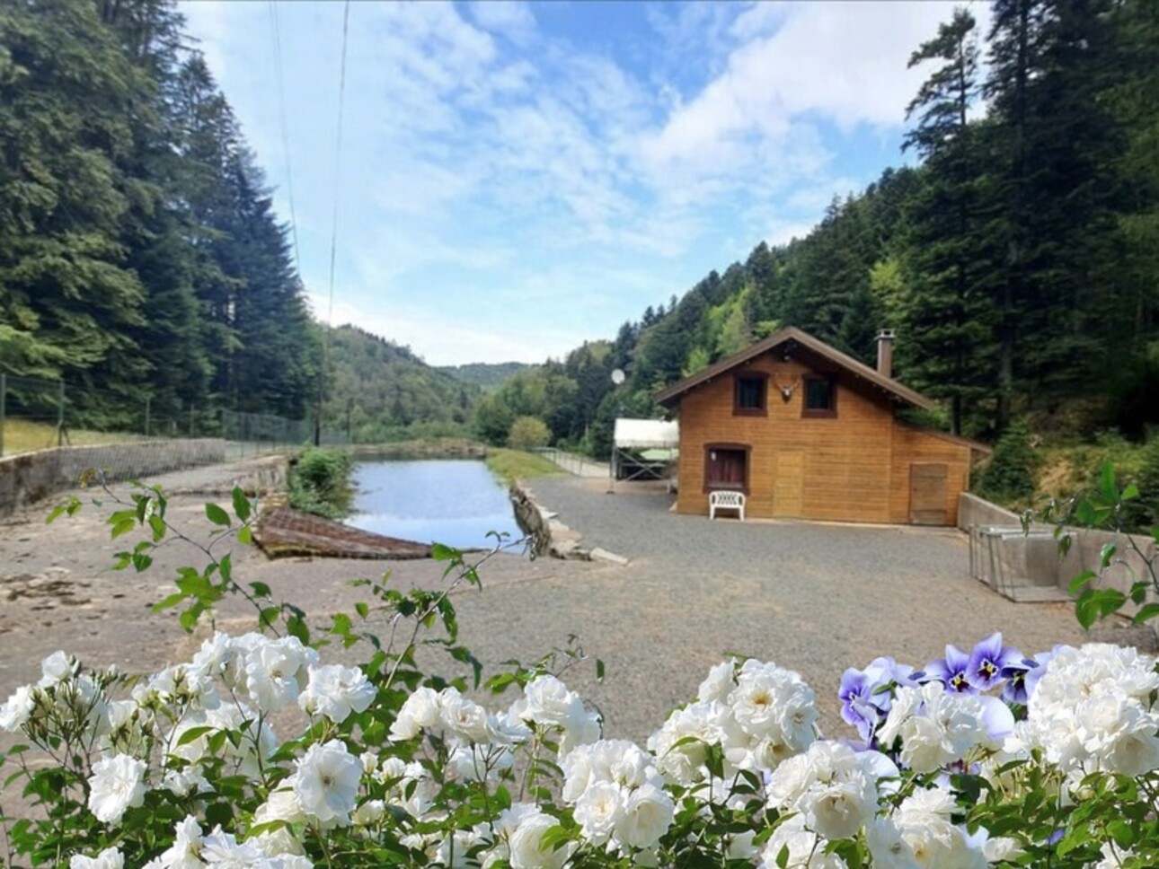 Photos 2 - Touristique - Dpt Bas-Rhin (67), à vendre proche de SAALES propriete P5 avec CHALET T5 + SALLE des FETES + ETANG / terrain de 1 ha où 10000 m2 environ