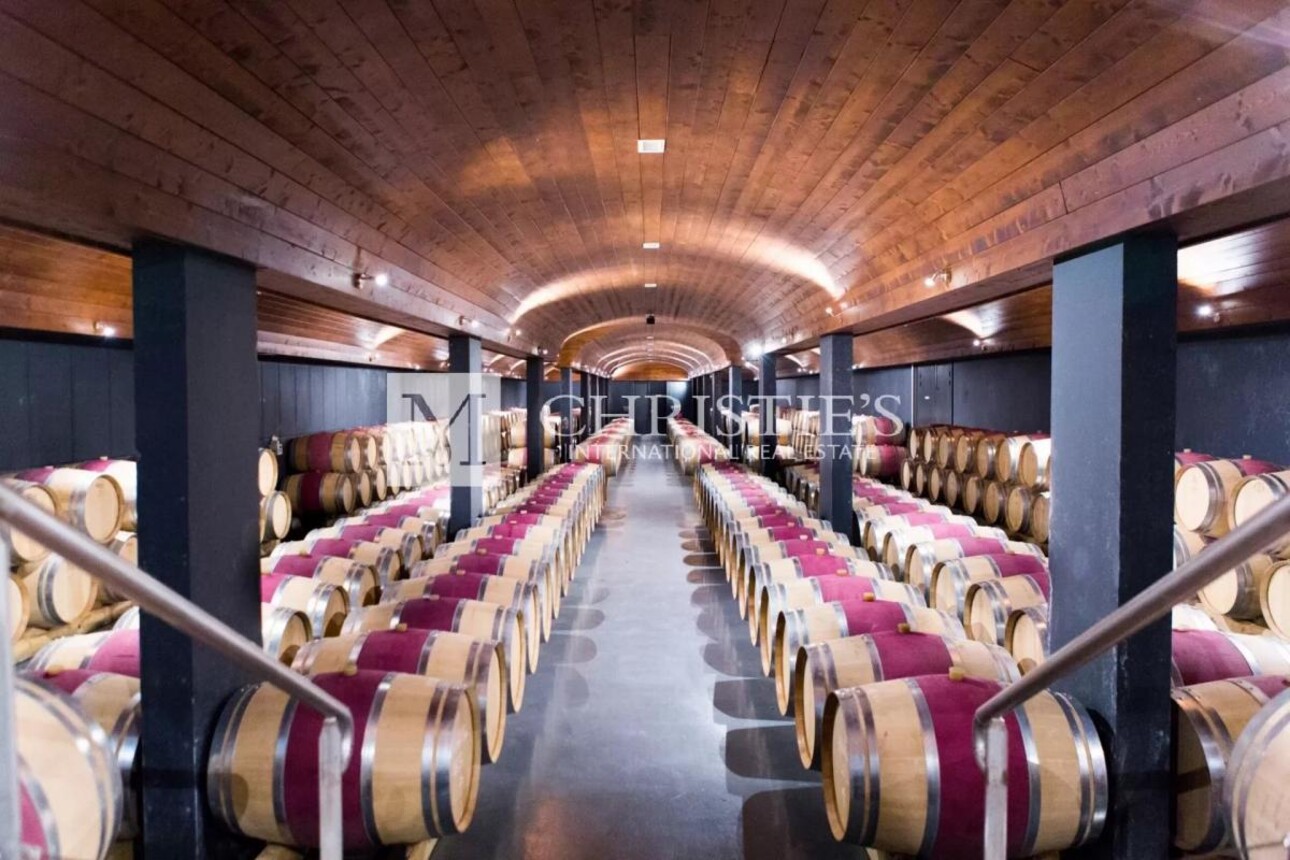 Photos 1 - Viticole - A vendre magnifique propriété de 75 ha en AOC Blaye Côtes de Bordeaux