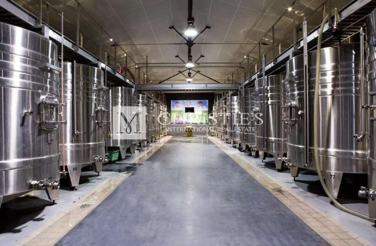 Photos 2 - Viticole - A vendre magnifique propriété de 75 ha en AOC Blaye Côtes de Bordeaux