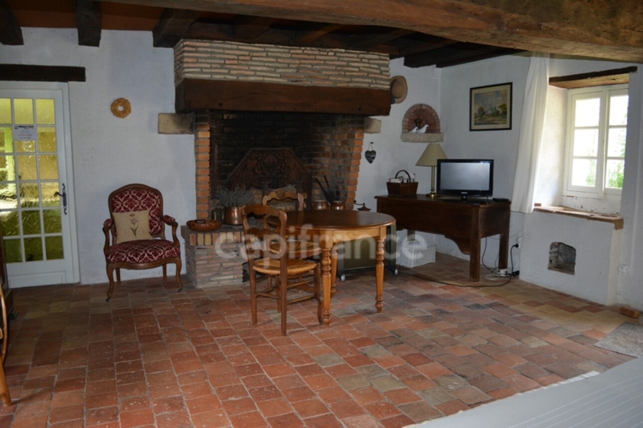 Photos 16 - Prestigious - Dpt Cher (18), à vendre MENETOU COUTURE propriété  P5 Gite, Piscine