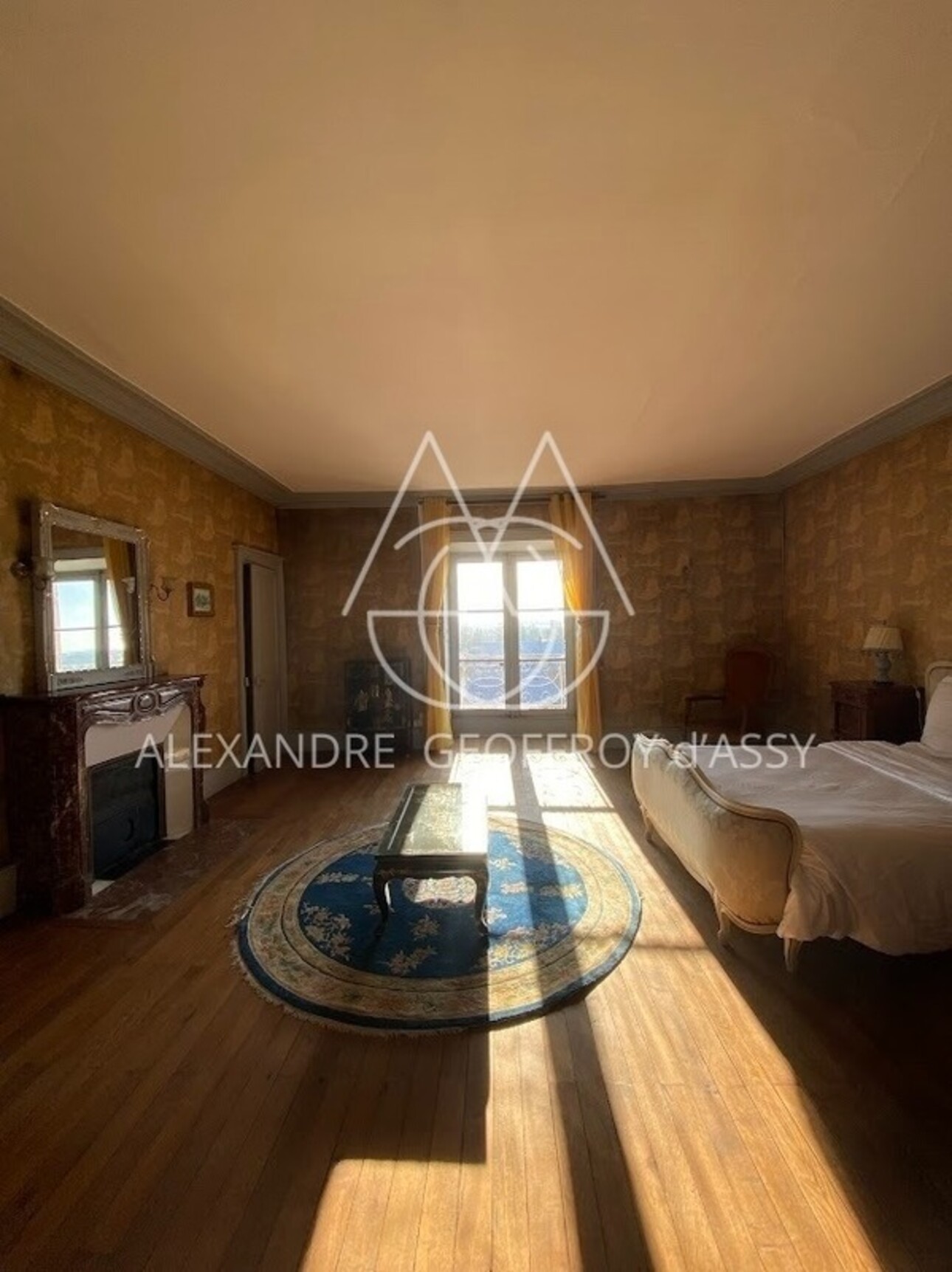 Photos 17 - Prestigious - Property for sale 72 rooms near BOURGES (18)