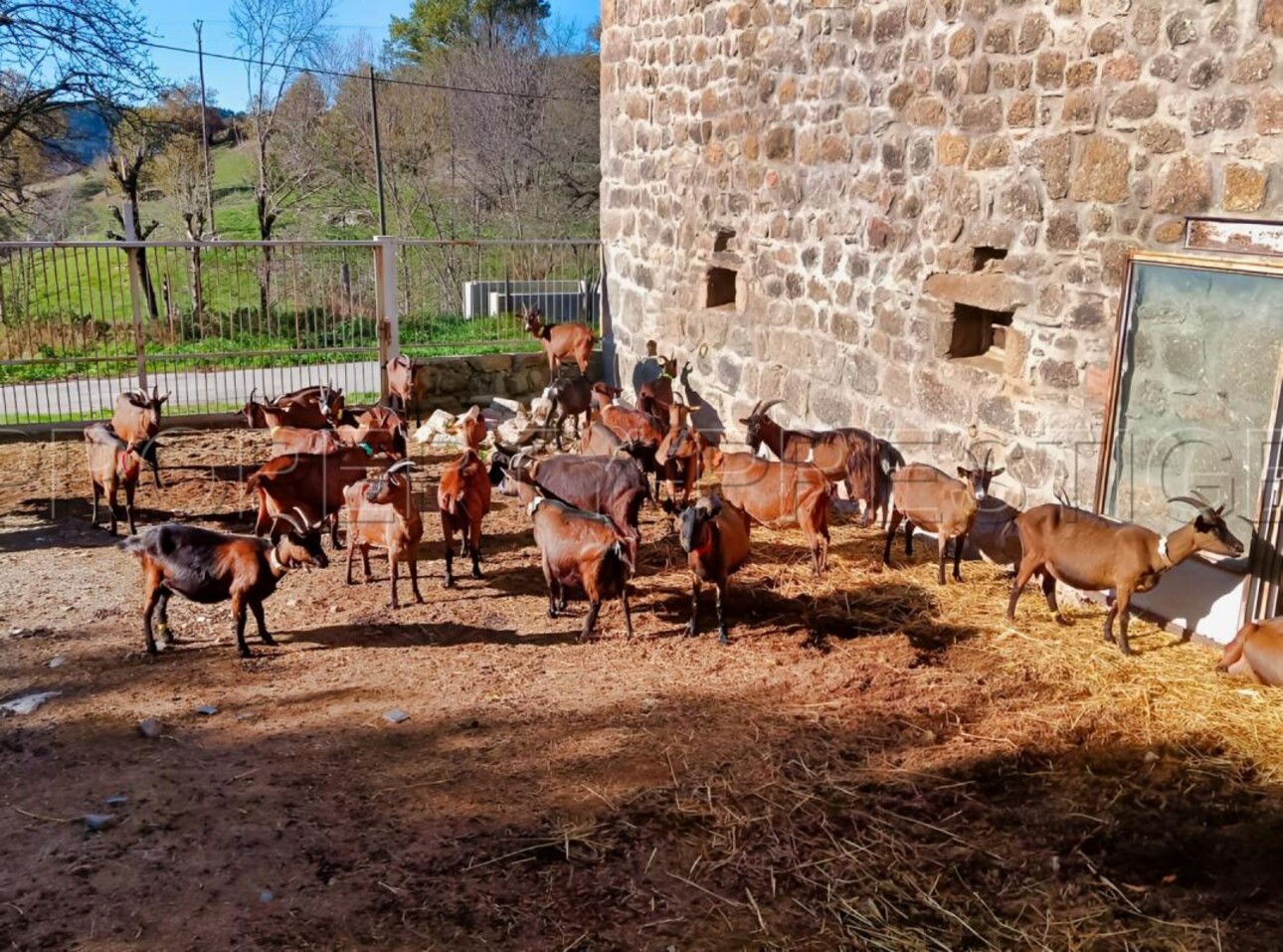 Photos 11 - Agricole - ARDECHE FERME 48 HA RUISSEAU SOURCES