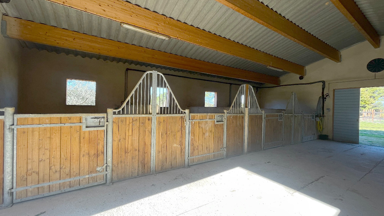 Photos 1 - Equestrian - Aix en Provence - Magnificent equestrian estate
