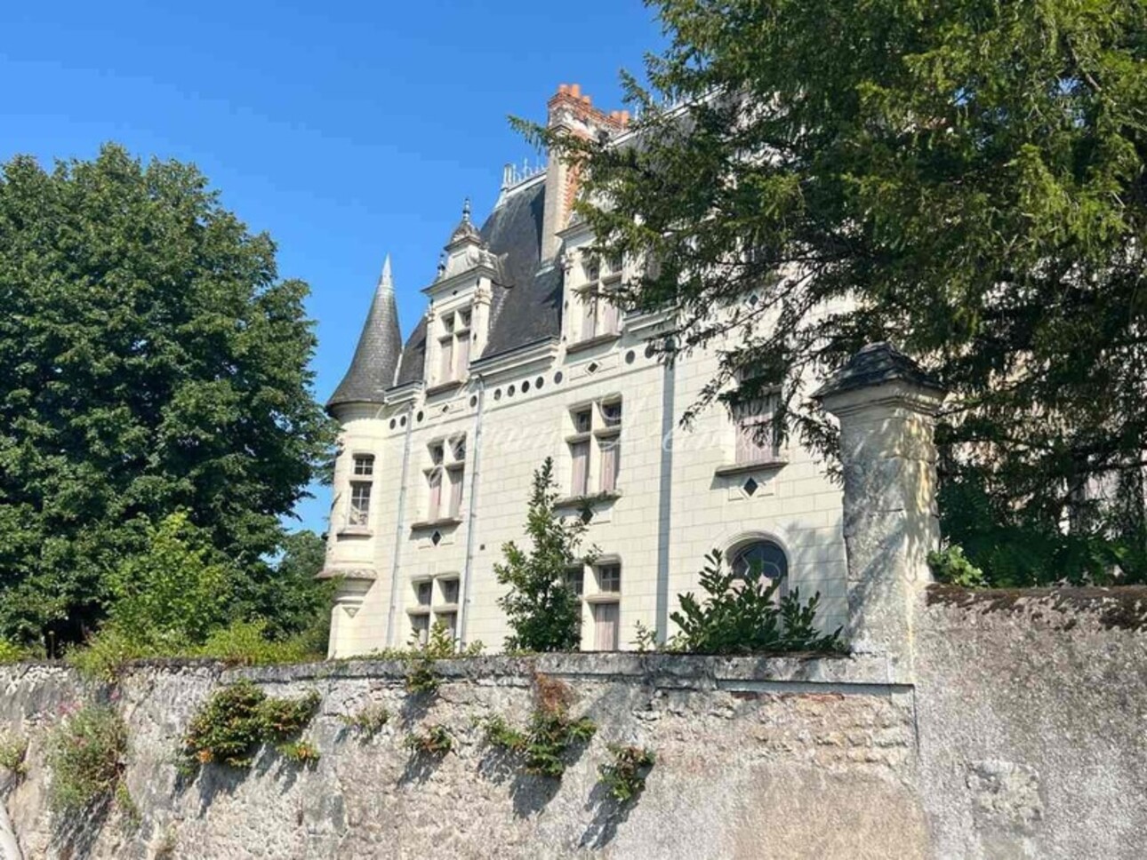Photos 2 - Prestigious - Property for sale 16 rooms near TOURS (37)