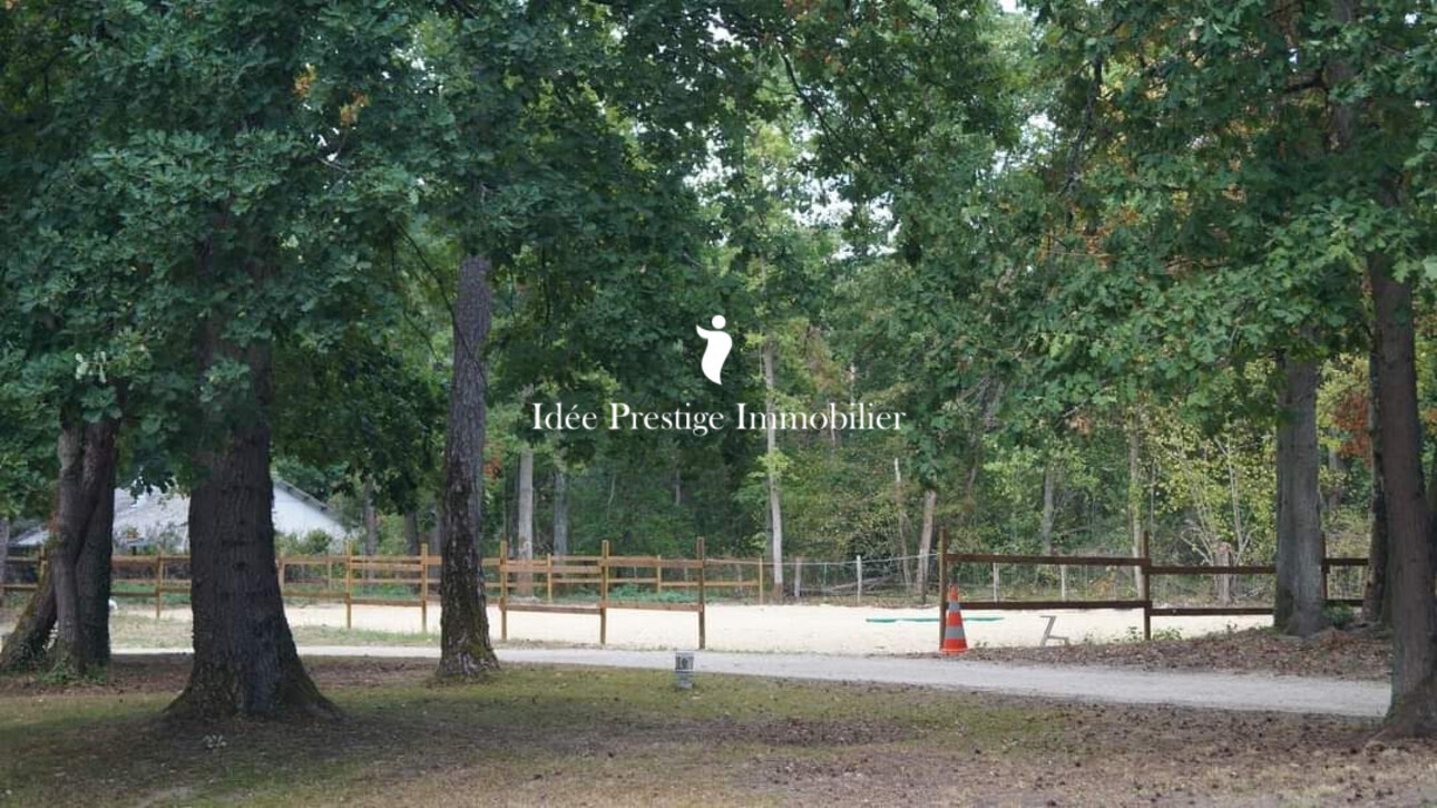 Photos 3 - Équestre - Propriété équestre en lisère de forêt