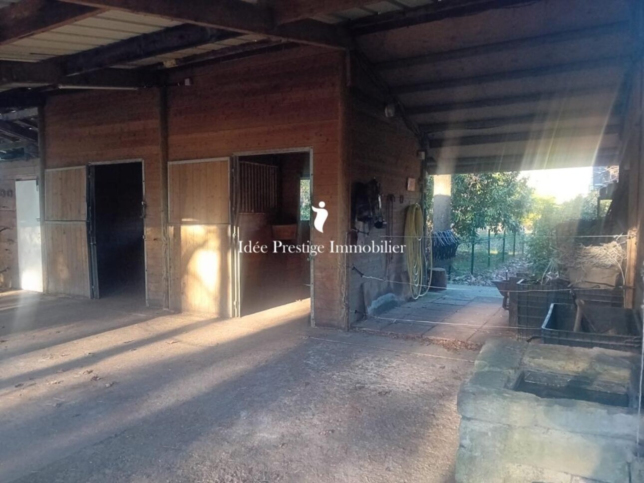 Photos 5 - Équestre - Propriété équestre en lisère de forêt