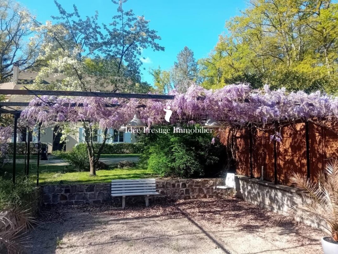 Photos 10 - Équestre - Propriété équestre en lisère de forêt