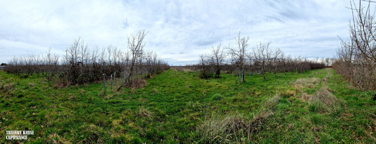 Photos 15 - Agricultural - Terrain agricole douze hectares, vergers, hangar bio-climatique fermé, hangar ouvert, serres, rucher, lac artificiel