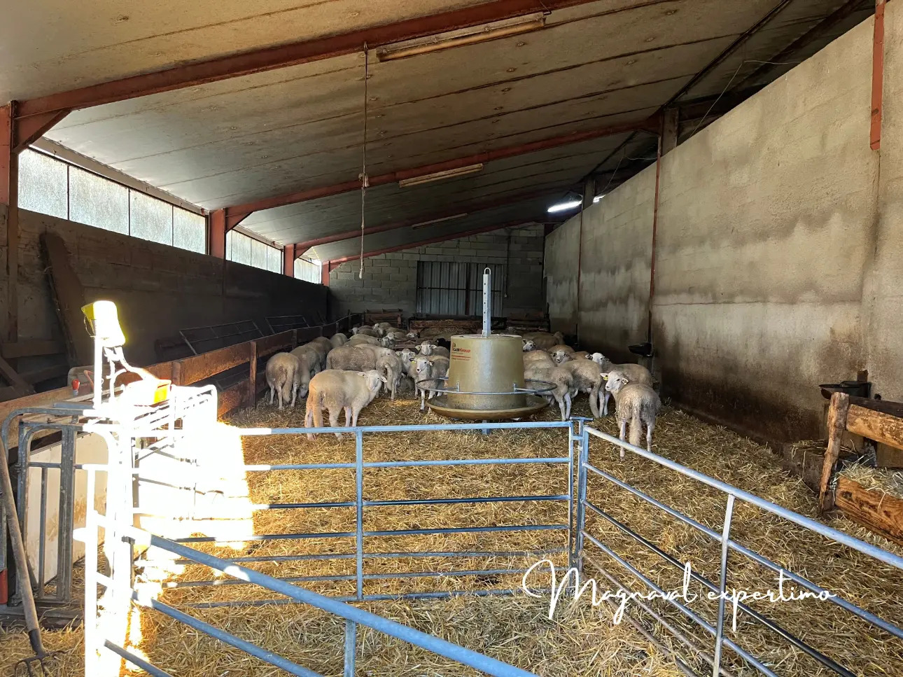 Photos 6 - Agricole - Exploitation d'élevage ovin 60 HA en propriété +160 HA en fermage dans le LOT 46 OCCITANIE