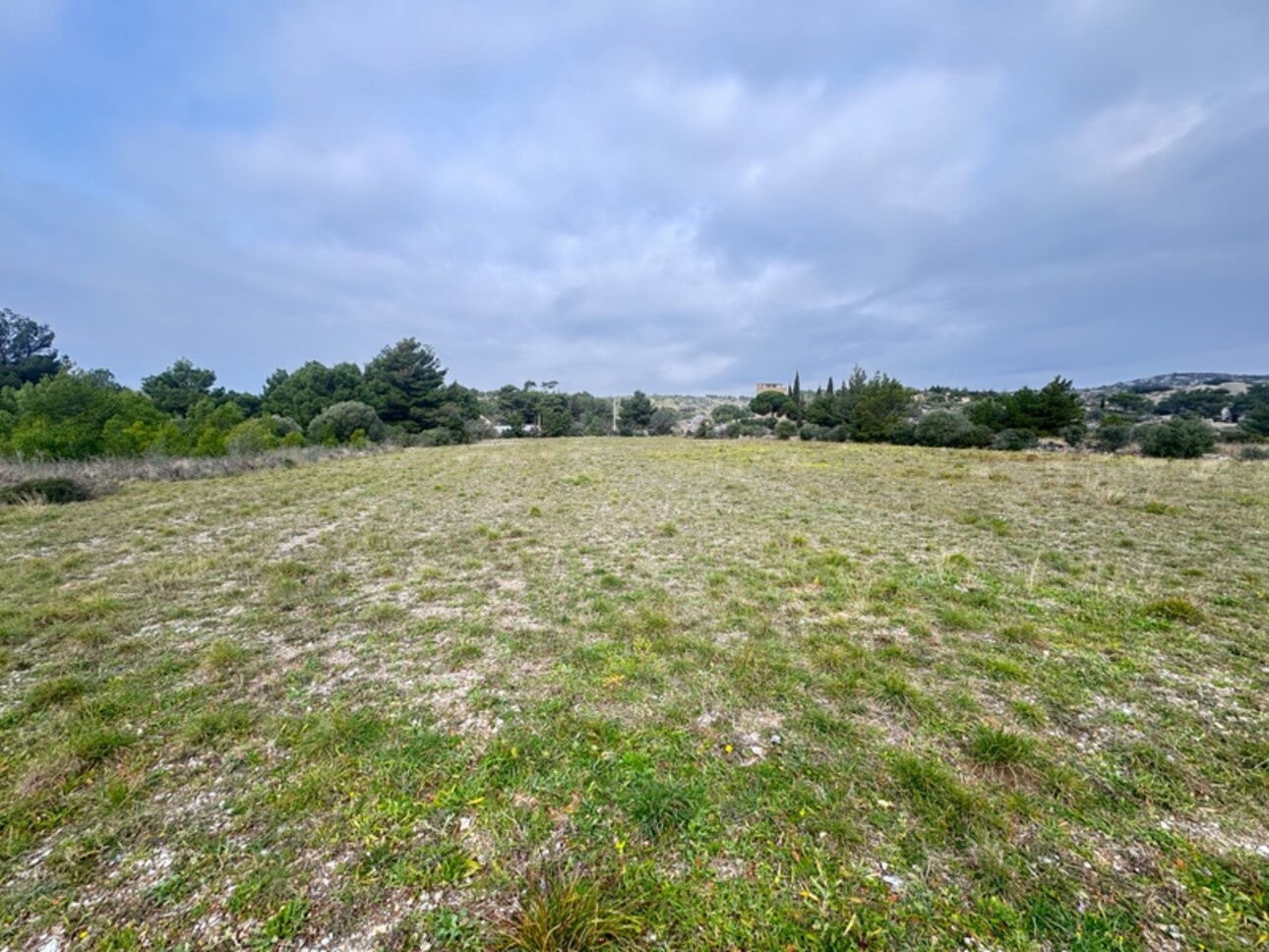 Photos 6 - Land - Terrain de loisir 5 410,00 m² proche de LA PALME  (11)