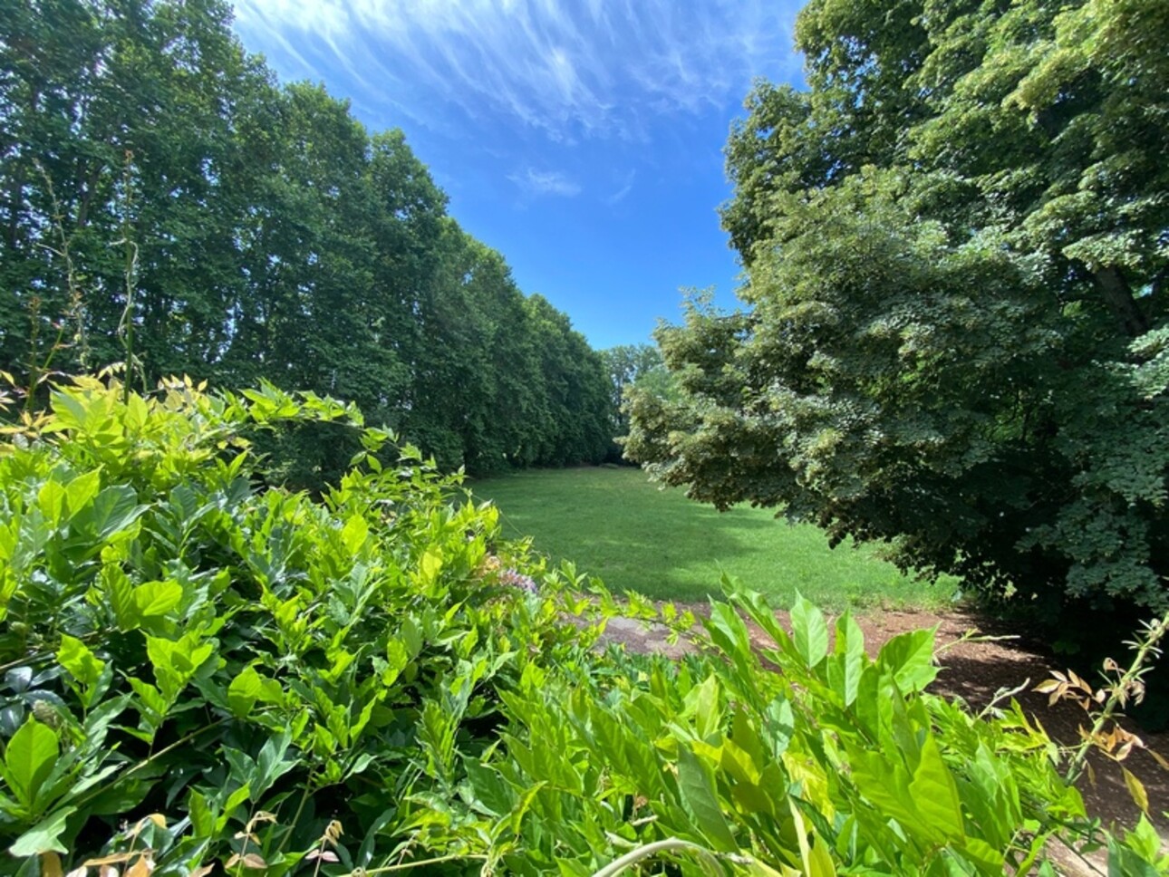 Photos 20 - Prestige - Dpt Gard (30), à vendre dans le Gard, propriété viticole en AOP Côtes du Rhône sur 25 hectares avec Château du XVème siècle
