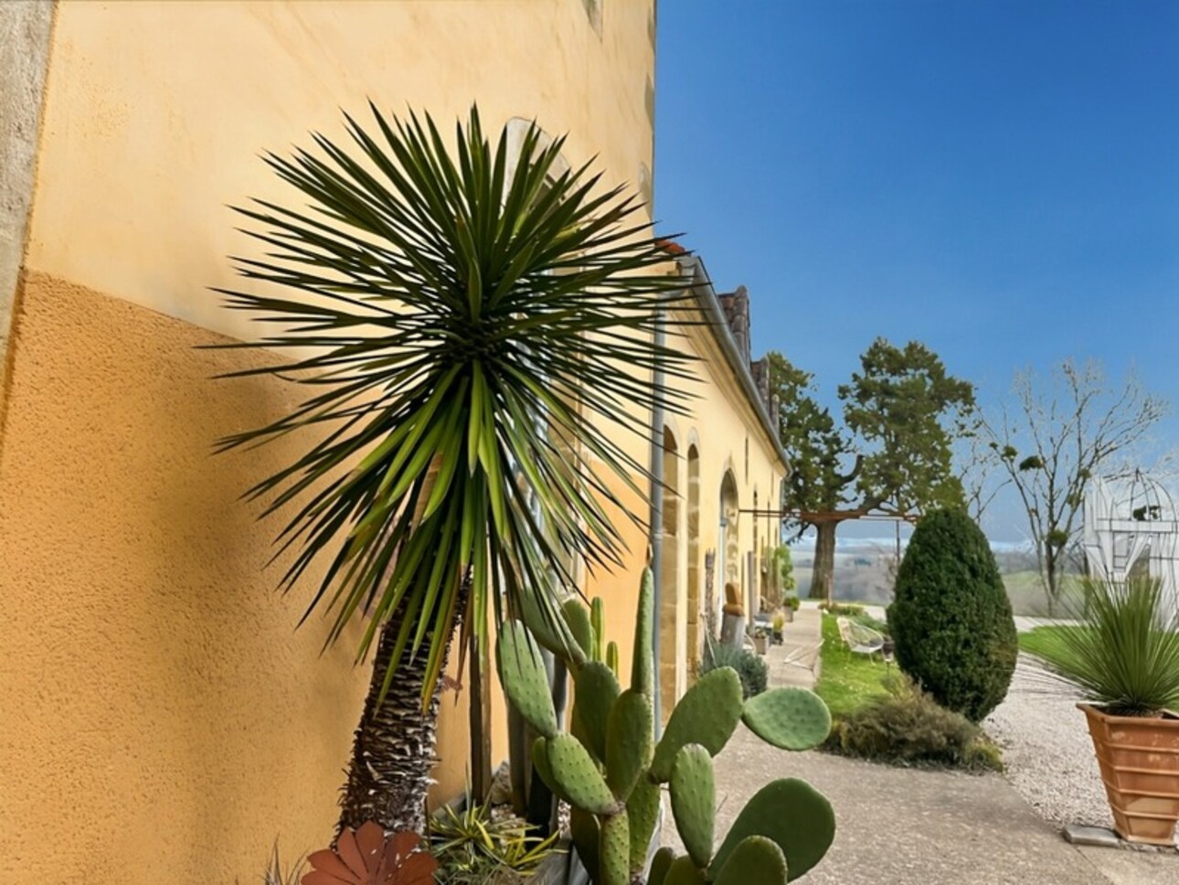 Photos 48 - Prestigious - For sale near MARCIAC (32) - 32-room castle - 1540 m2 of living space - 5.8 hectare estate