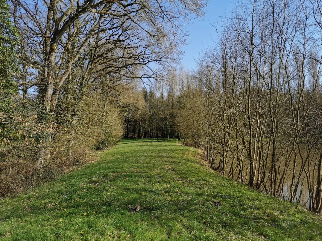 Photos 3 - Foncière - Etang de 3.000 m² env. sur terrain de loisir de 3,5 hectares