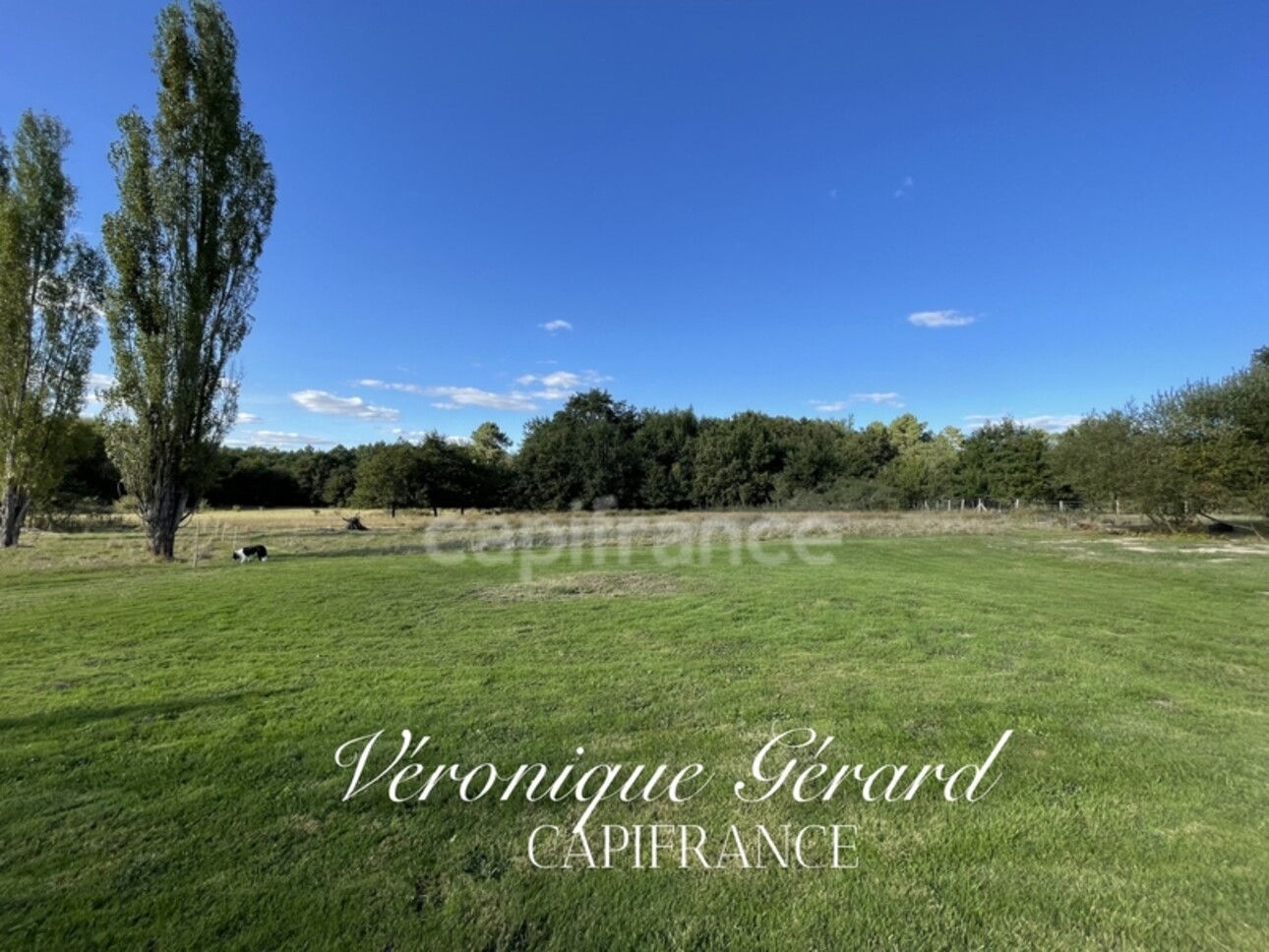 Photos 21 - Tourist - Ancien Corps de ferme de 158 M2 et 247 M2 au sol, avec grange et atelier sur plus de 11 hectares de bois et près