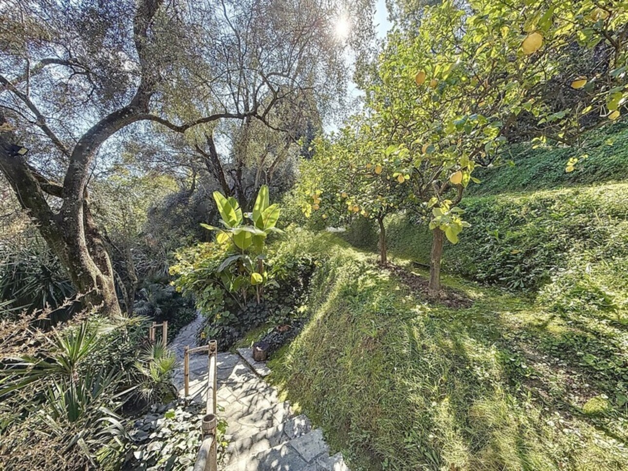 Photos 17 - Prestigious - Property for sale 14 rooms MENTON (06)