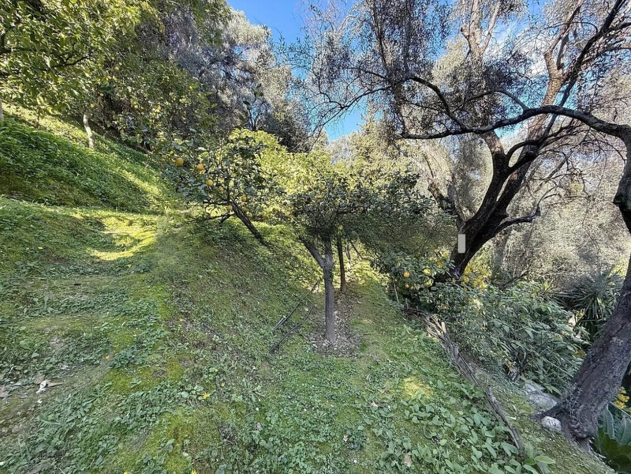 Photos 25 - Prestigious - Property for sale 14 rooms MENTON (06)