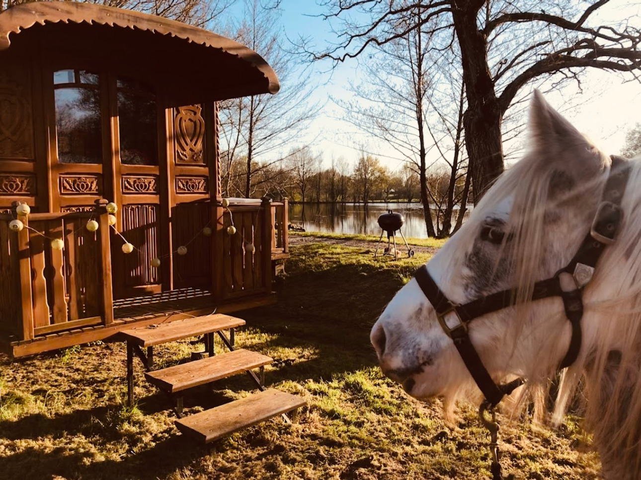Photos 1 - Equestrian - Equestrian and tourist area: a historic jewel in the heart of Vendée