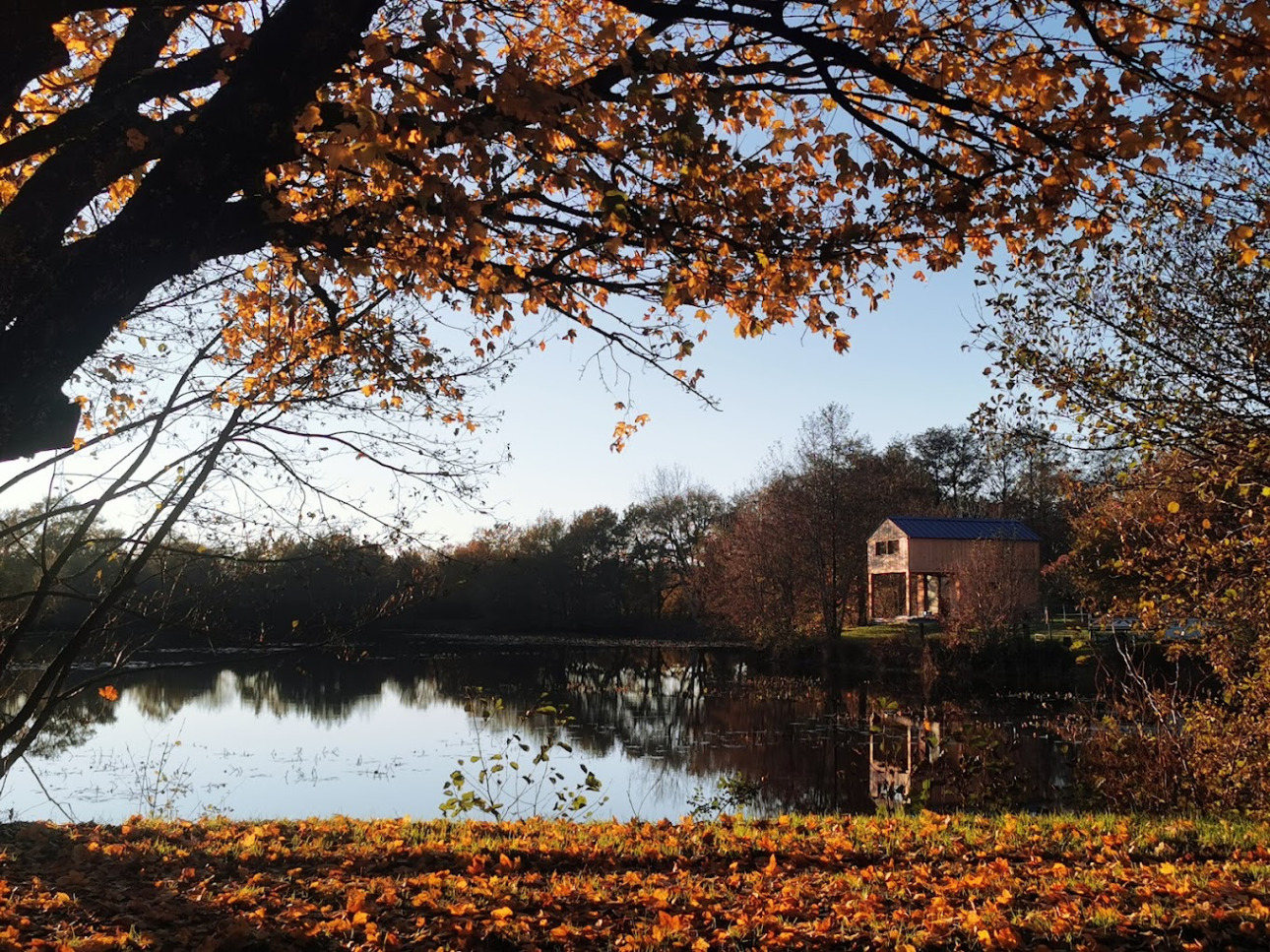 Photos 2 - Equestrian - Equestrian and tourist area: a historic jewel in the heart of Vendée