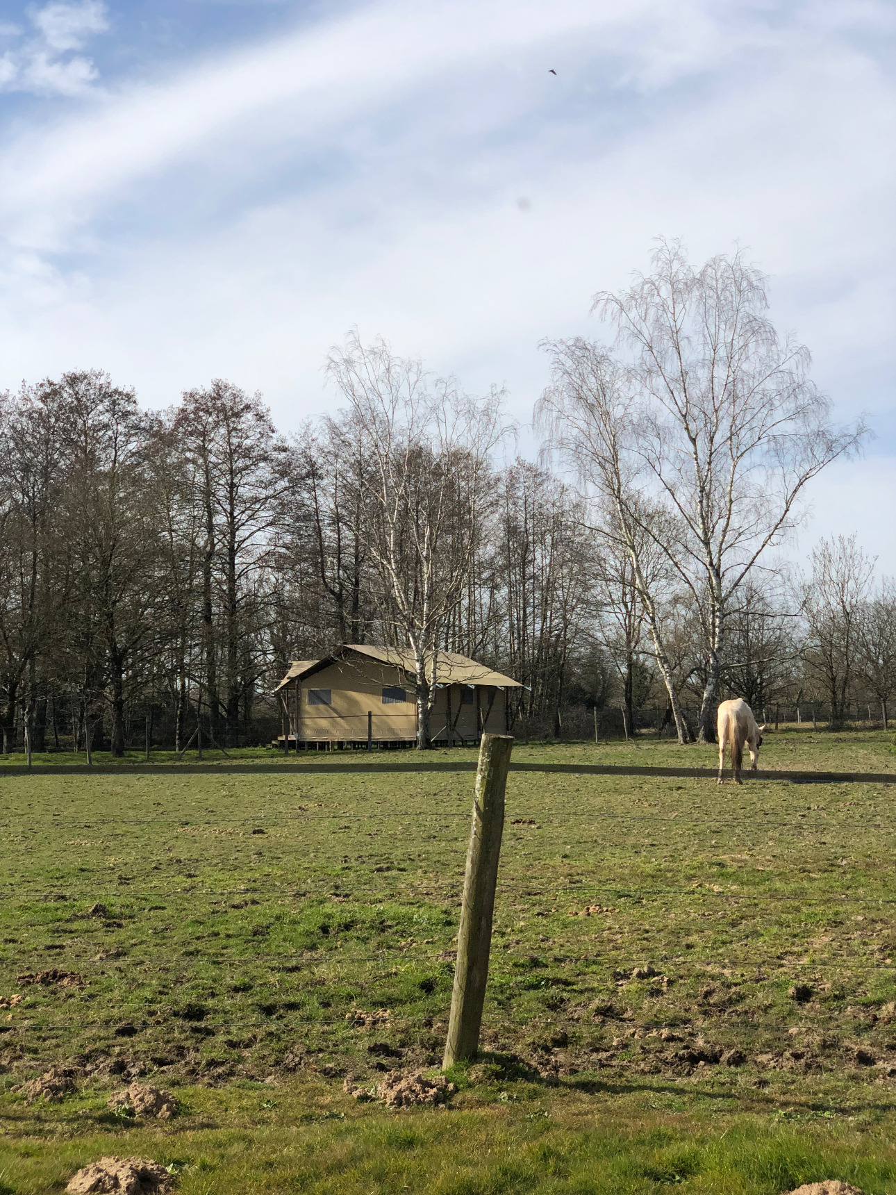 Photos 3 - Equestrian - Equestrian and tourist area: a historic jewel in the heart of Vendée