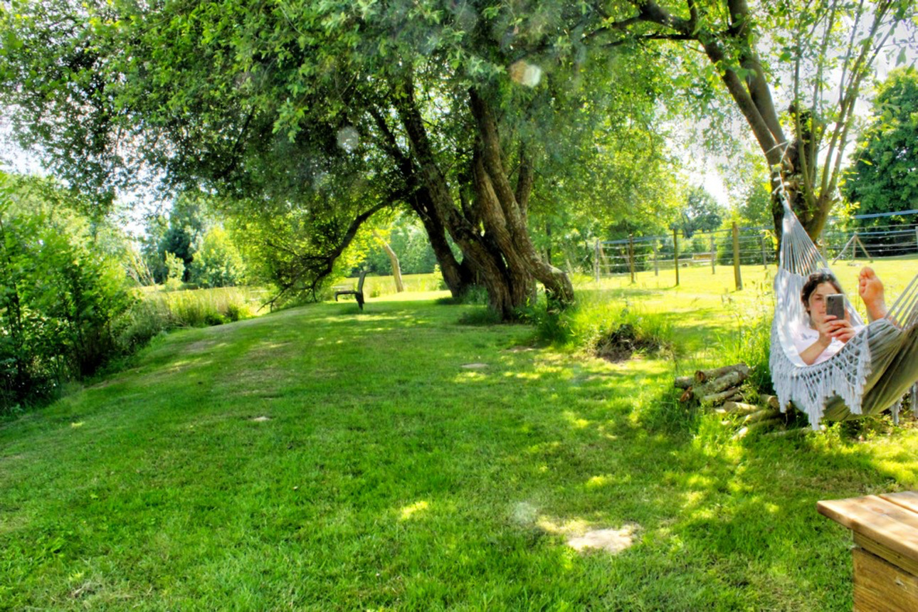 Photos 4 - Equestrian - Equestrian and tourist area: a historic jewel in the heart of Vendée
