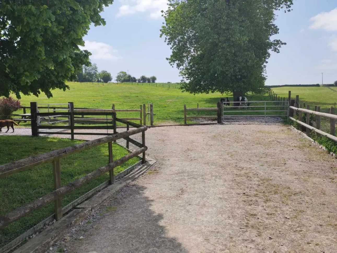 Photos 4 - Equestrian - Farm at the crossroads 2 gites horses