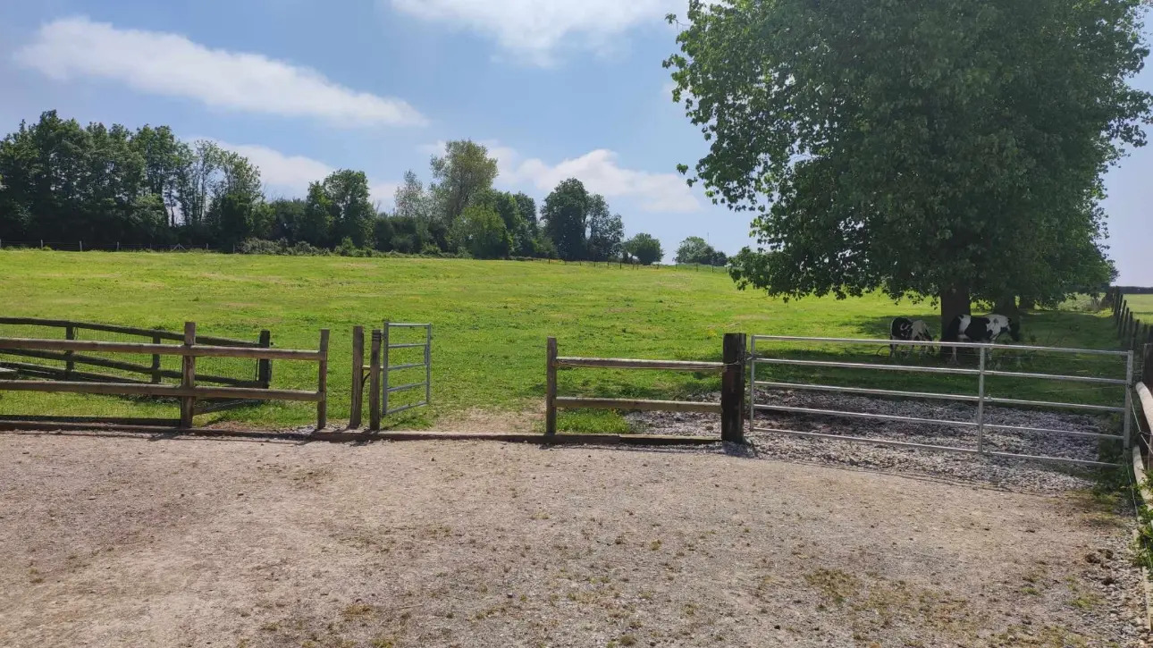 Photos 11 - Equestrian - Farm at the crossroads 2 gites horses