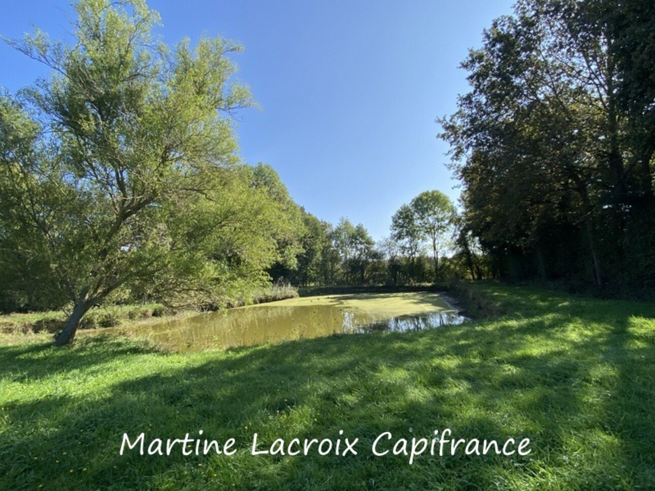 Photos 28 - Équestre - Dpt SARTHE (72), à vendre proche de LA FERTE BERNARD - PROPRIÉTÉ  P8 de 226 m² - Terrain de 2,50 Ha