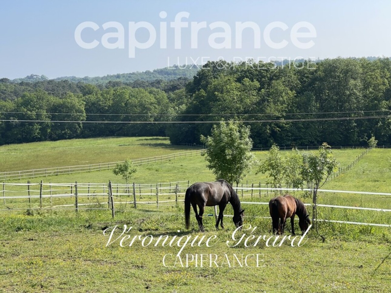 Photos 31 - Équestre - PROPRIETE EQUESTRE SUR PLUS DE 10 HECTARES