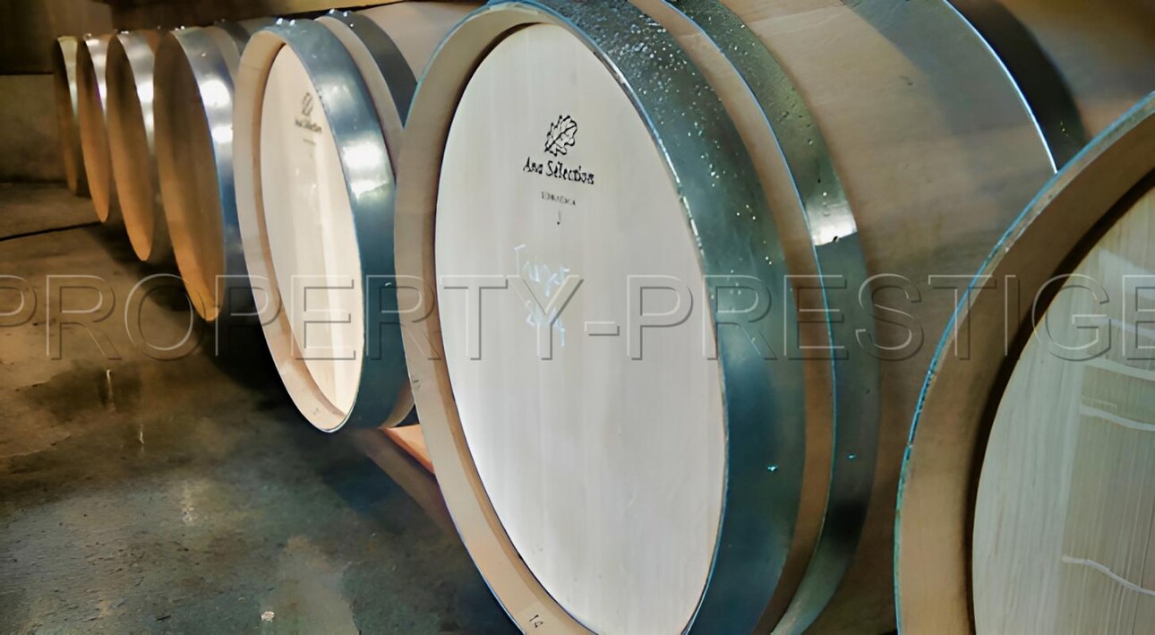 Photos 4 - Prestige - LOT DOMAINE VITICOLE AOC CAHORS 19 HA