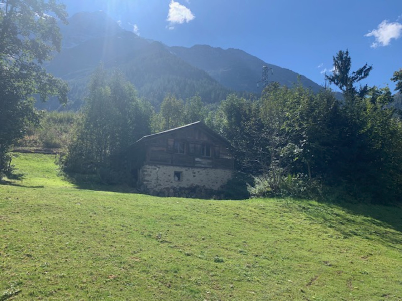 Photos 5 - Equestrian - Chalet and large Land Vallee of Chamonix