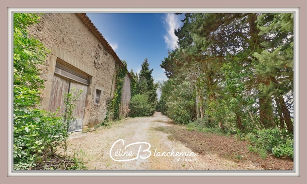 Photos 20 - Touristique - Propriete à vendre 32 pièces proche de CARCASSONNE (11) 2 habitations 522m2+ parc 2,82 hectares + dépendances