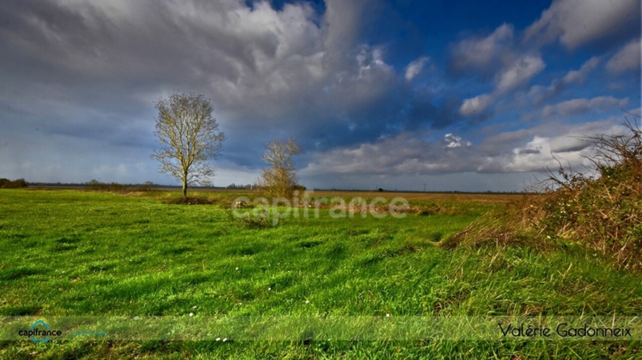 Photos 21 - Touristique - Dpt Charente Maritime (17), à vendre NUAILLE D'AUNIS, ensemble immobilier, d'une surface de 591,64 m2, le tout sur une parcelle cadastrée de 4710 m2