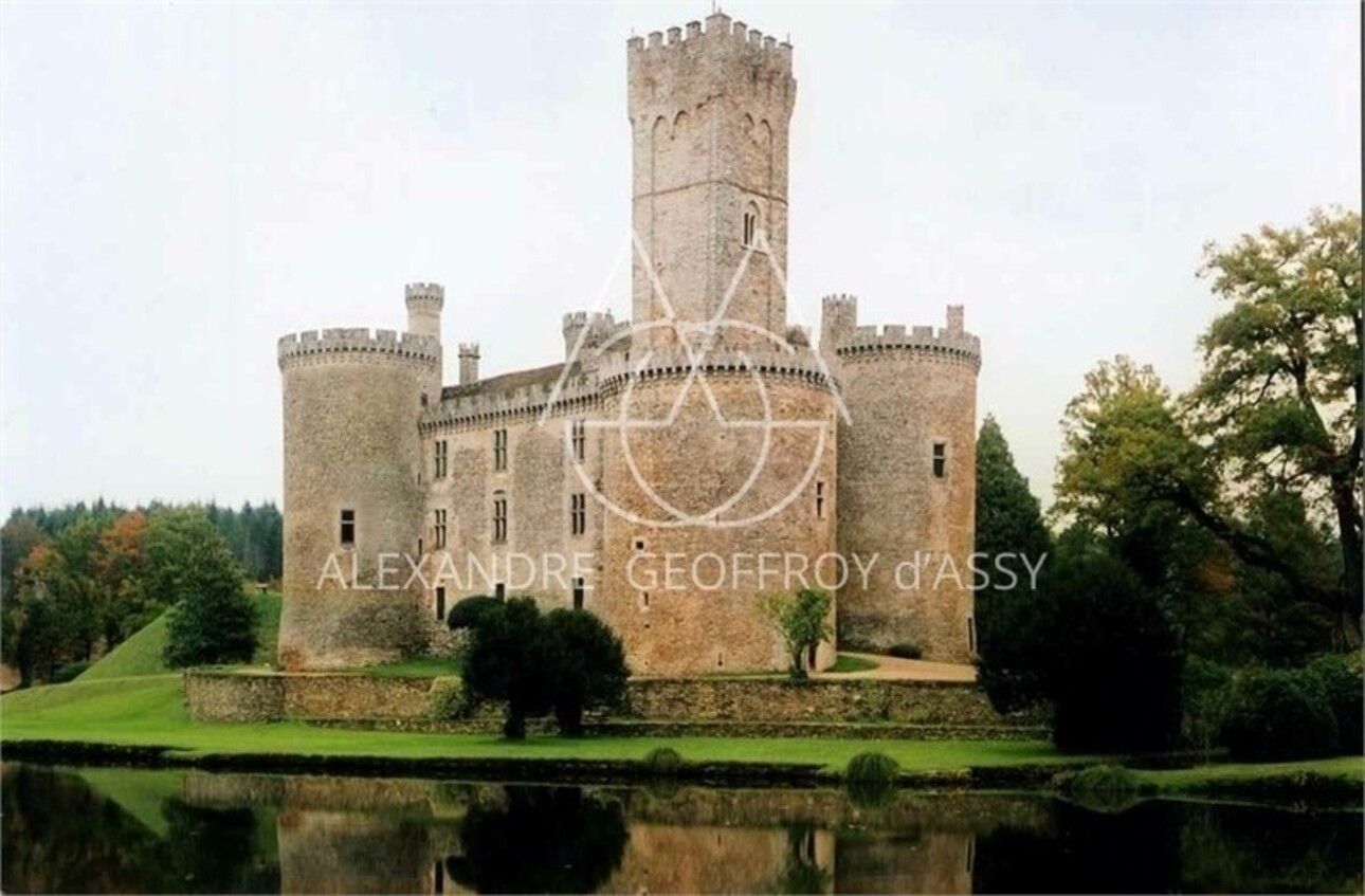 Photos 1 - Forest - Château médiéval du XIIe siècle sur un vaste domaine de 170 hectares avec une restauration complète