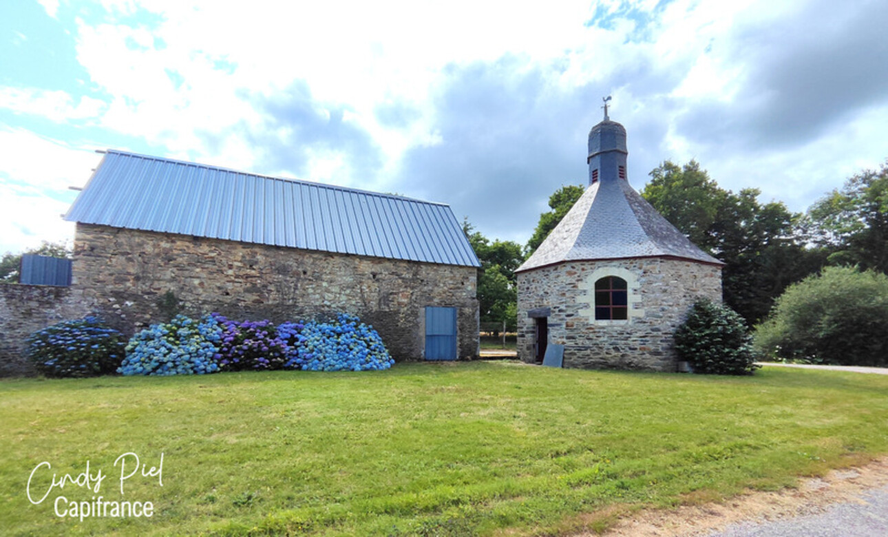 Photos 12 - Prestigious - Dpt Morbihan (56), for sale QUELNEUC manor P7 of 295 m² - Land of 27,103 m²