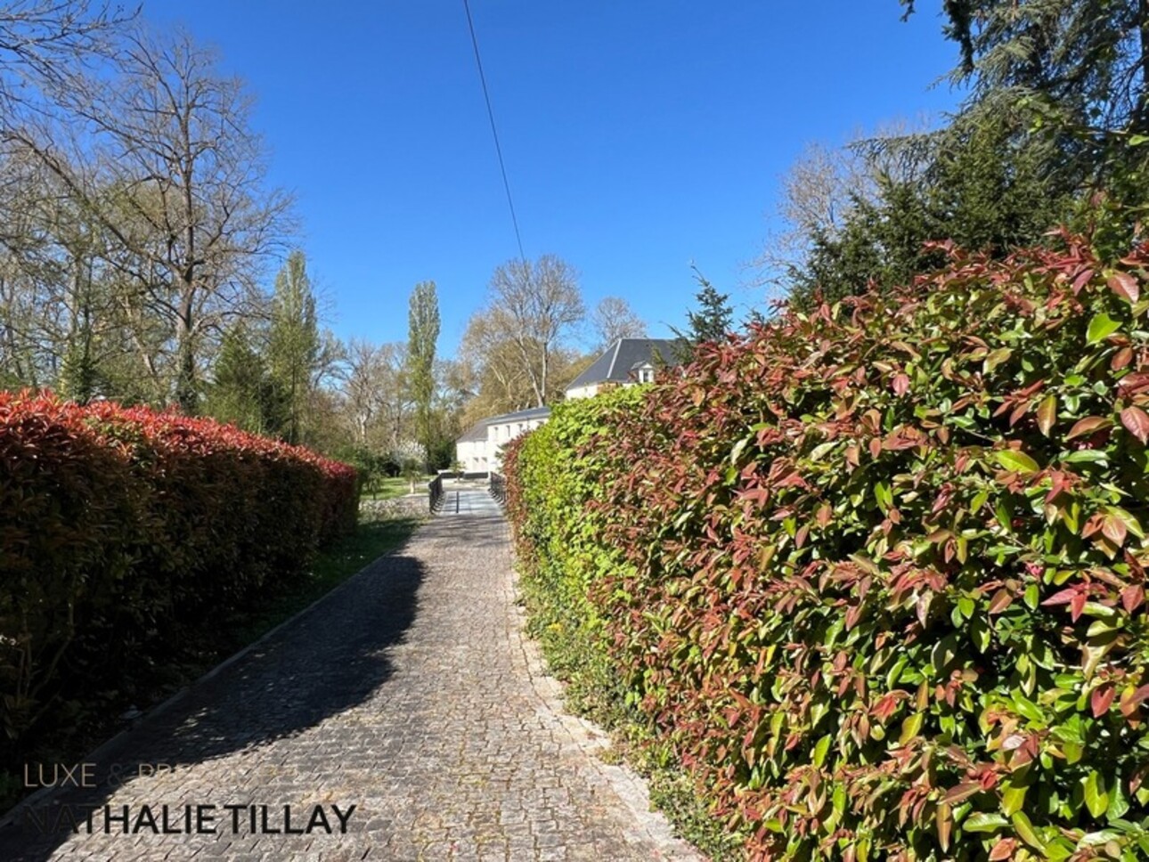 Photos 20 - Tourist - Propriete à vendre, superbe Moulin rénové et bordé par la rivière, a l est d Orleans, parcelle de 4500 m²