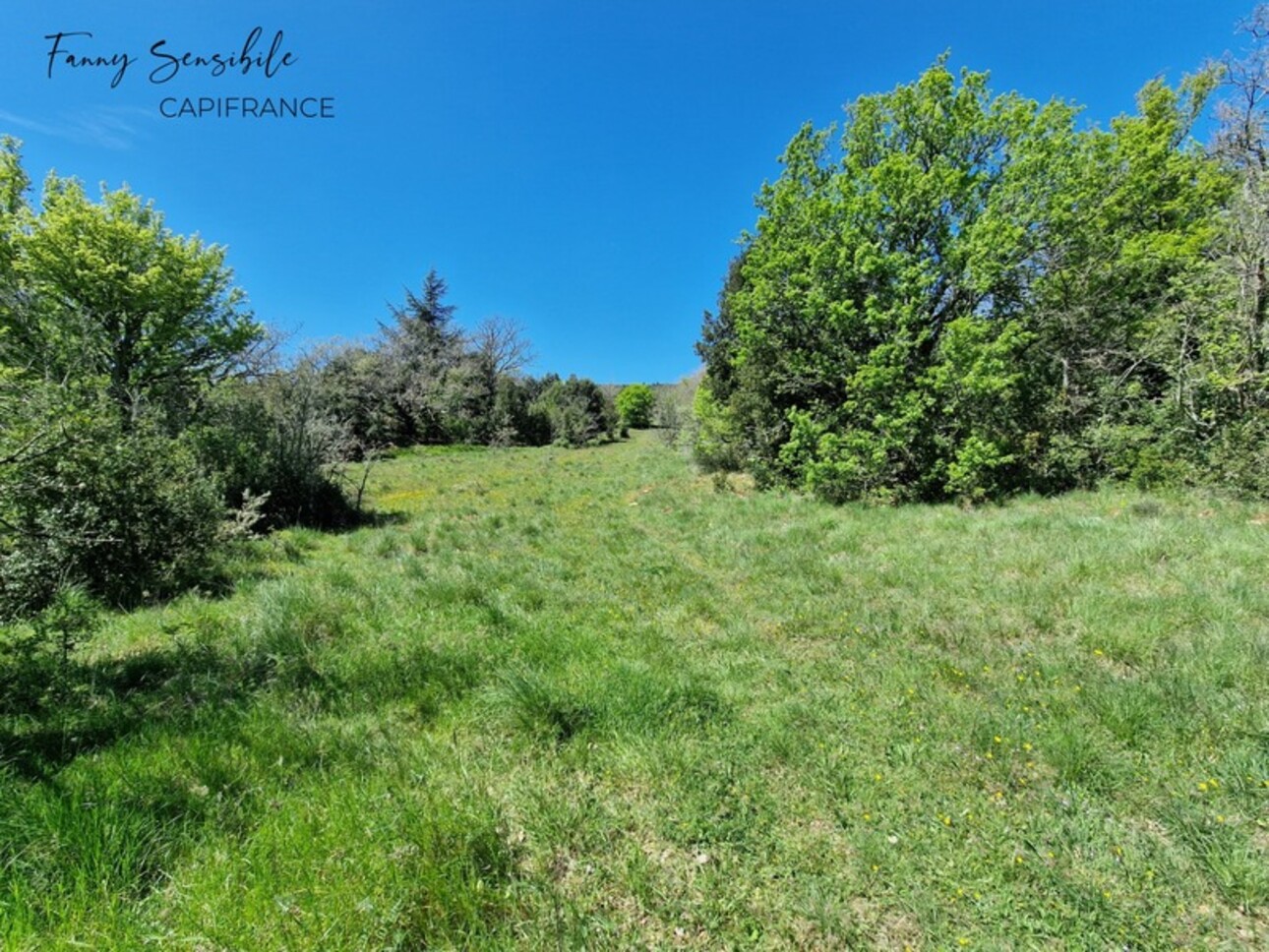 Photos 8 - Agricultural - RARE FOR SALE – 18 HECTARES PROPERTY IN AGRICULTURAL ZONE – PLAN-D'AUPS-SAINTE-BAUME