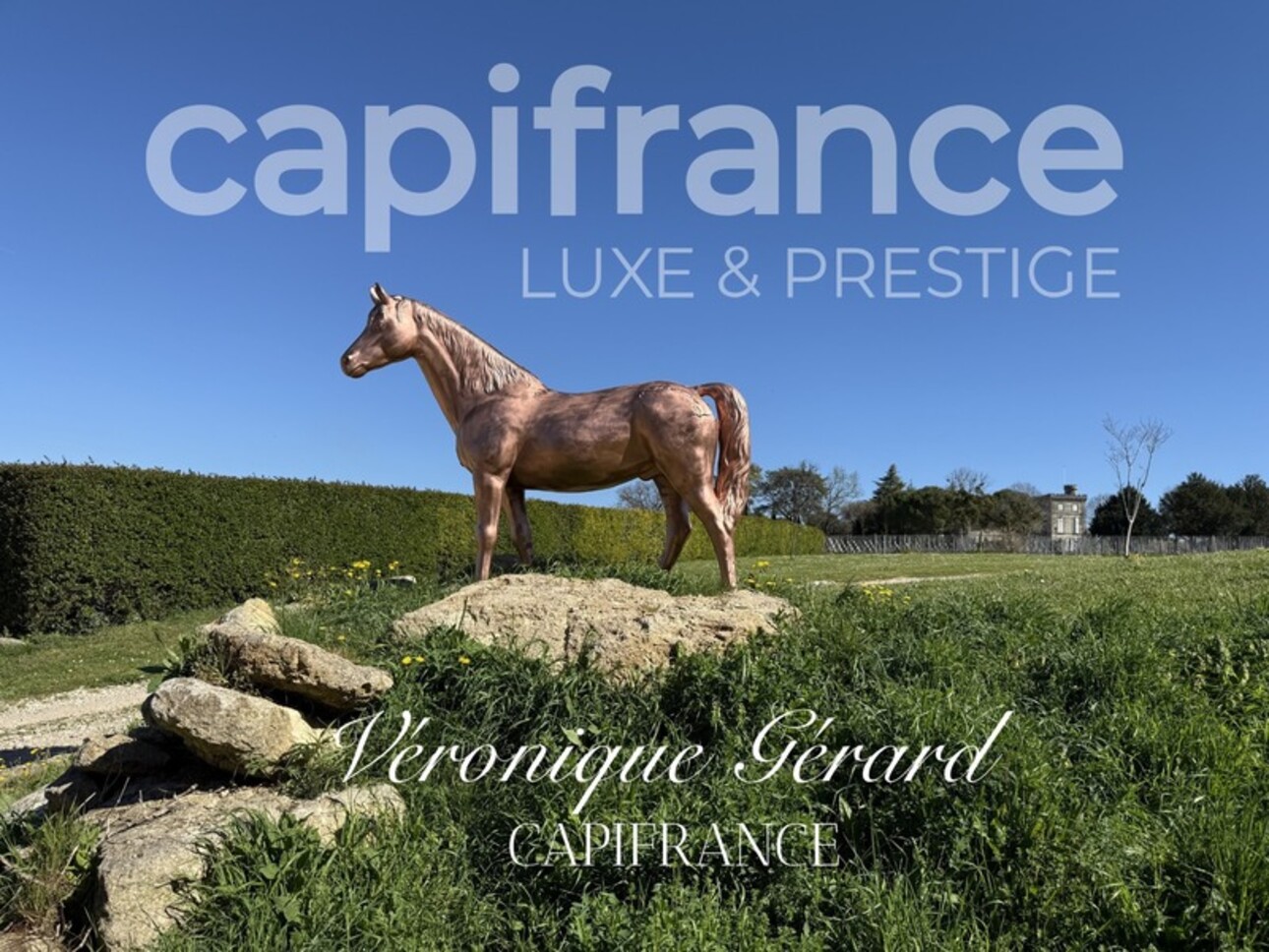 Photos 1 - Prestigious - In Saint Christophe des Bardes. Exceptional property of over 310 m² on 4858 m² of land.