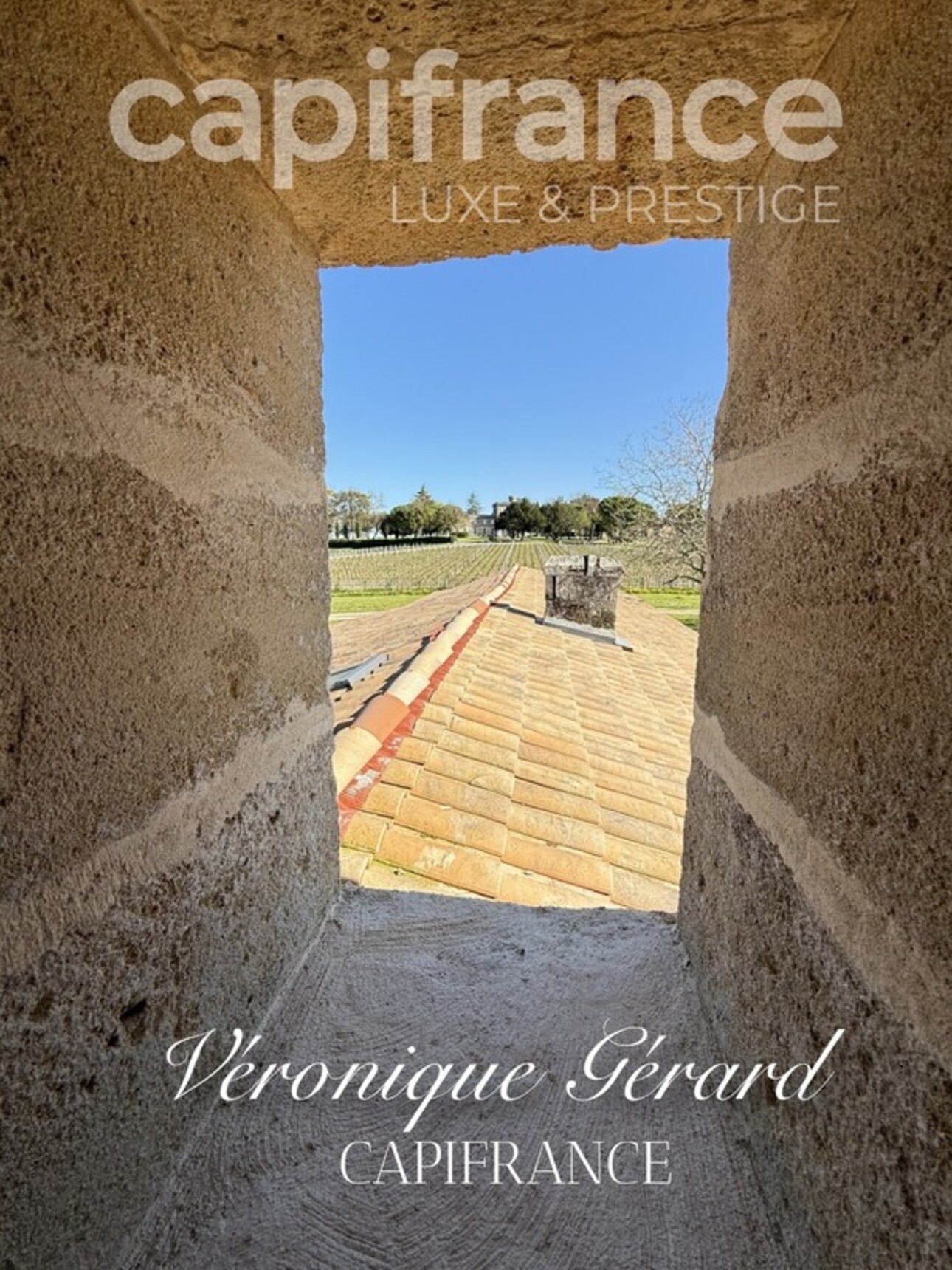 Photos 22 - Prestigious - In Saint Christophe des Bardes. Exceptional property of over 310 m² on 4858 m² of land.