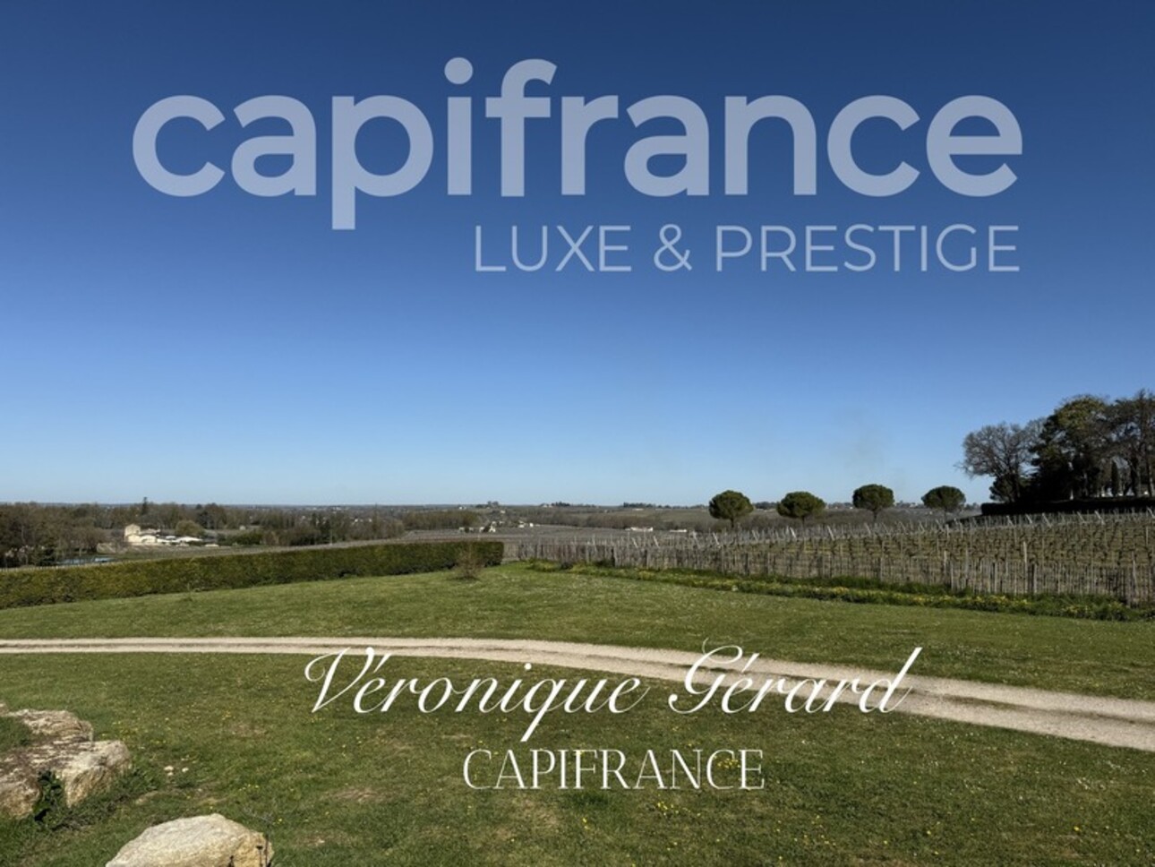 Photos 23 - Prestigious - In Saint Christophe des Bardes. Exceptional property of over 310 m² on 4858 m² of land.