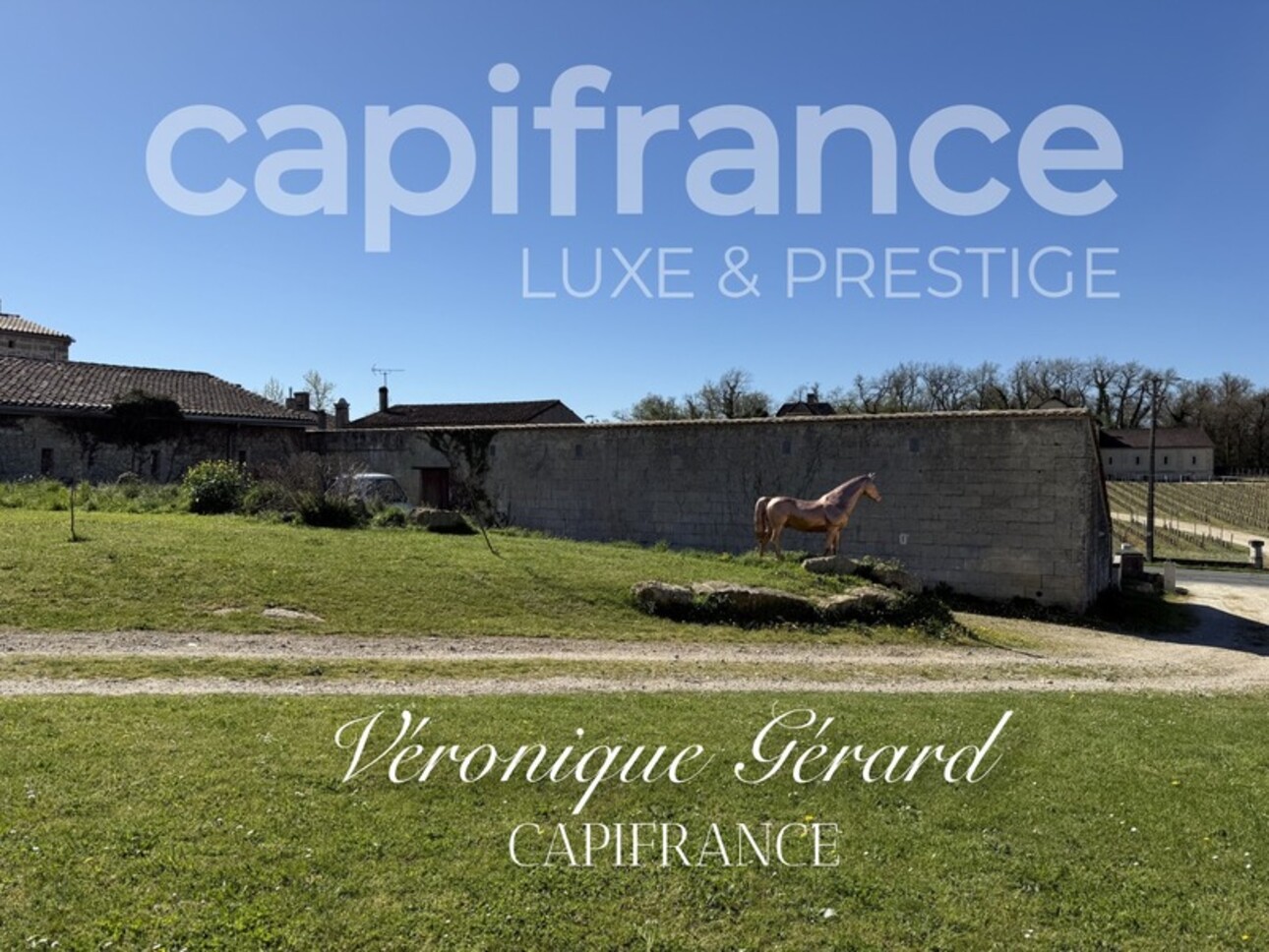 Photos 28 - Prestigious - In Saint Christophe des Bardes. Exceptional property of over 310 m² on 4858 m² of land.
