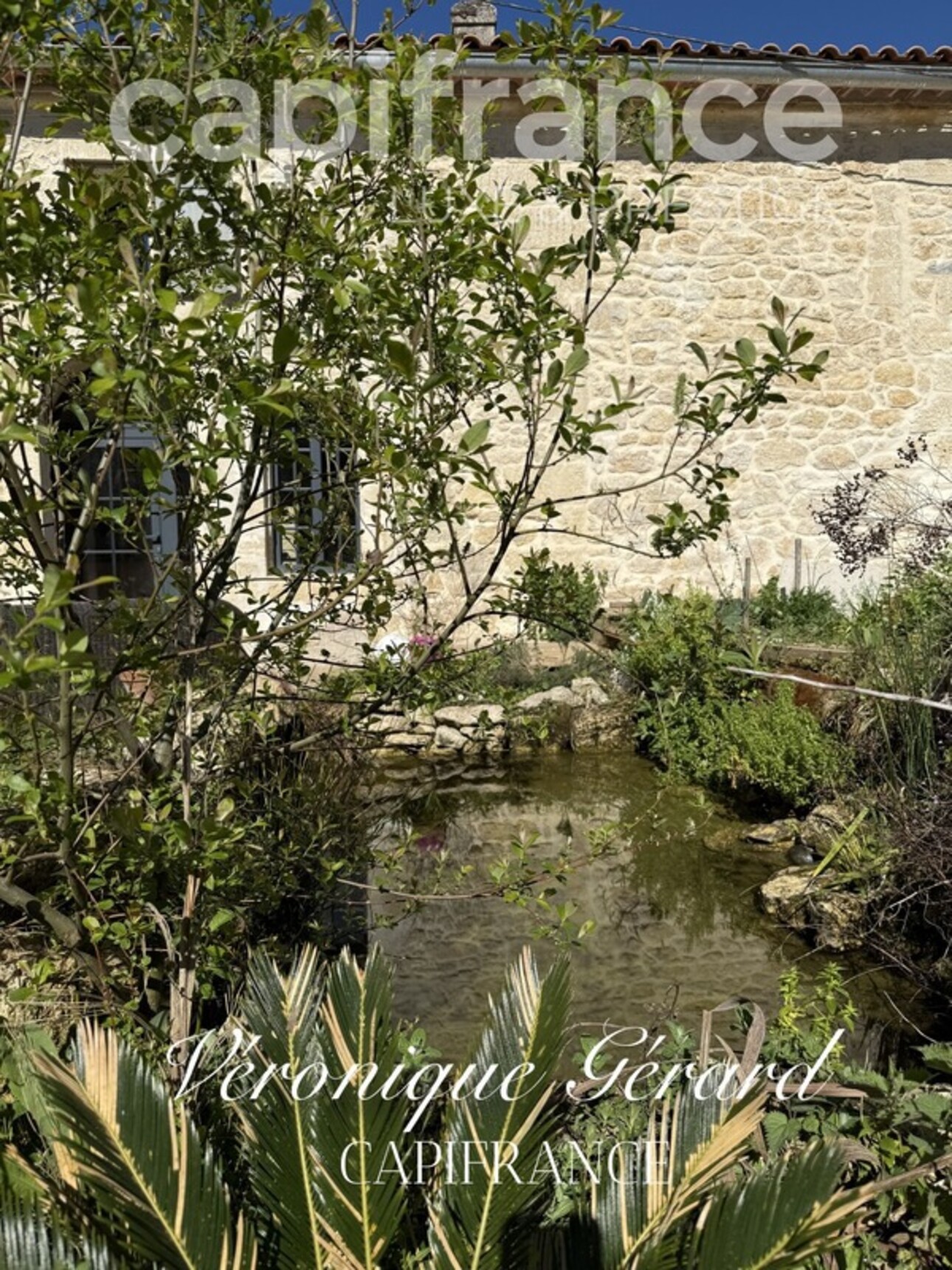 Photos 29 - Prestigious - In Saint Christophe des Bardes. Exceptional property of over 310 m² on 4858 m² of land.