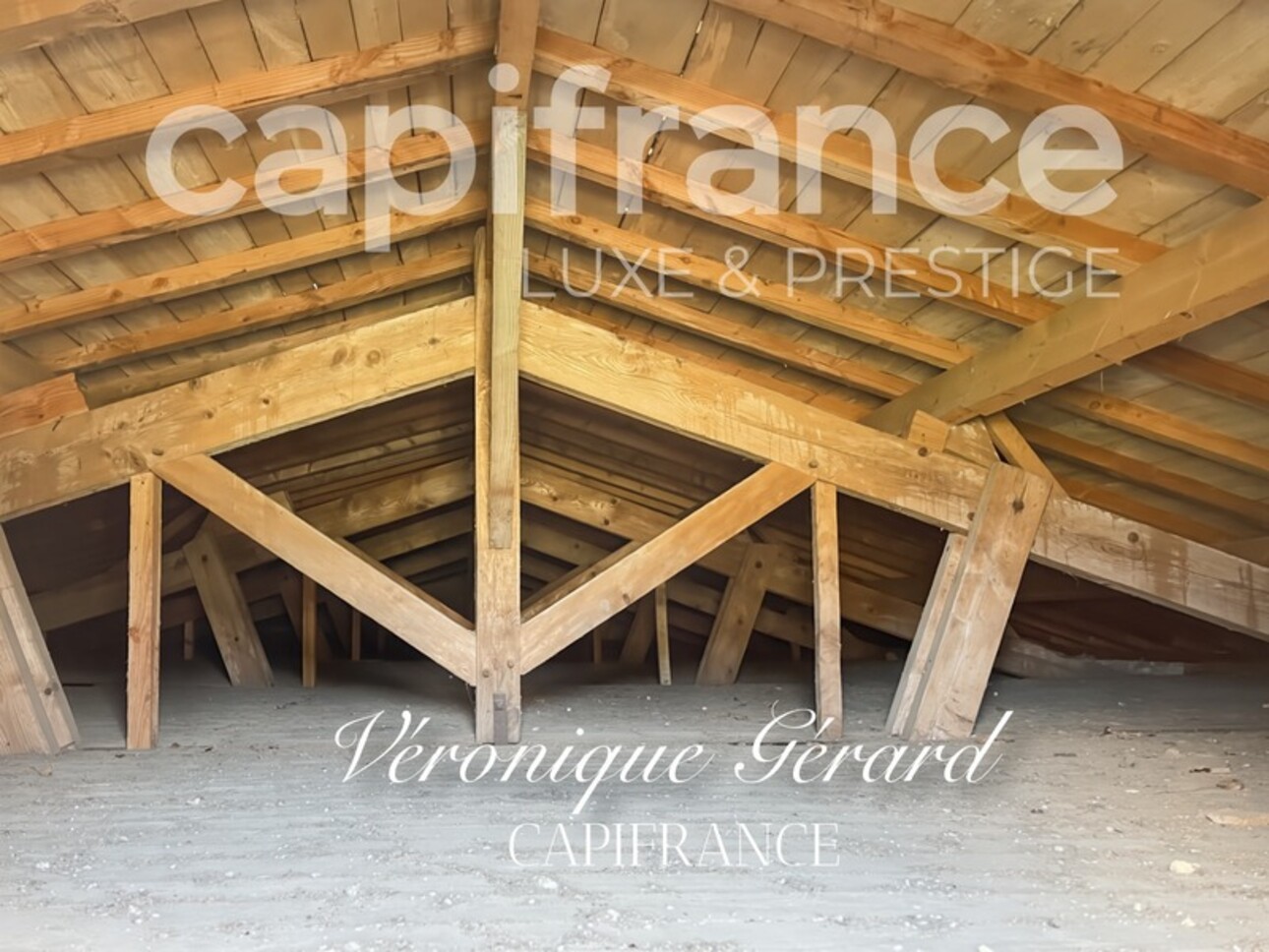 Photos 31 - Prestigious - In Saint Christophe des Bardes. Exceptional property of over 310 m² on 4858 m² of land.