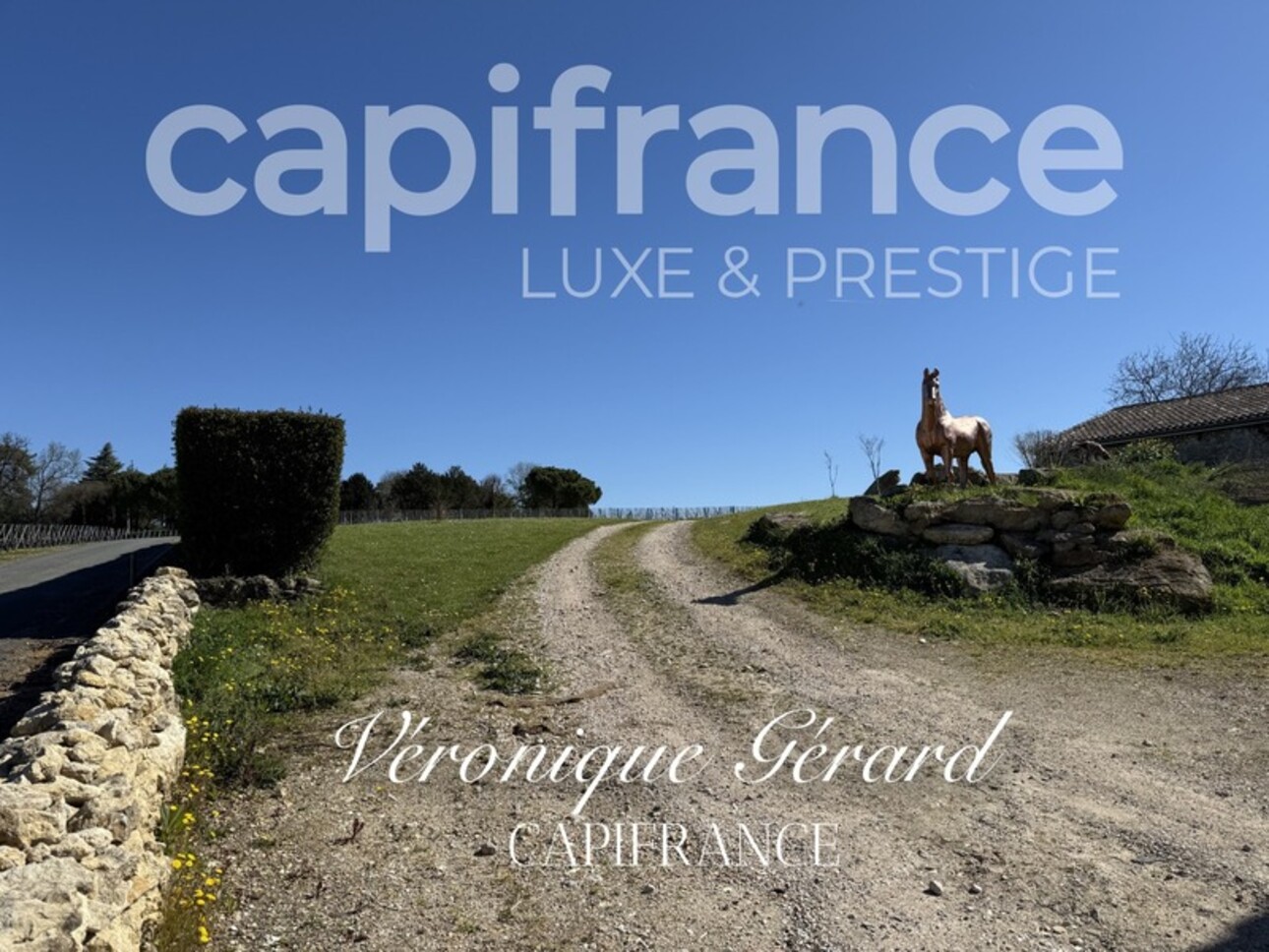 Photos 36 - Prestigious - In Saint Christophe des Bardes. Exceptional property of over 310 m² on 4858 m² of land.